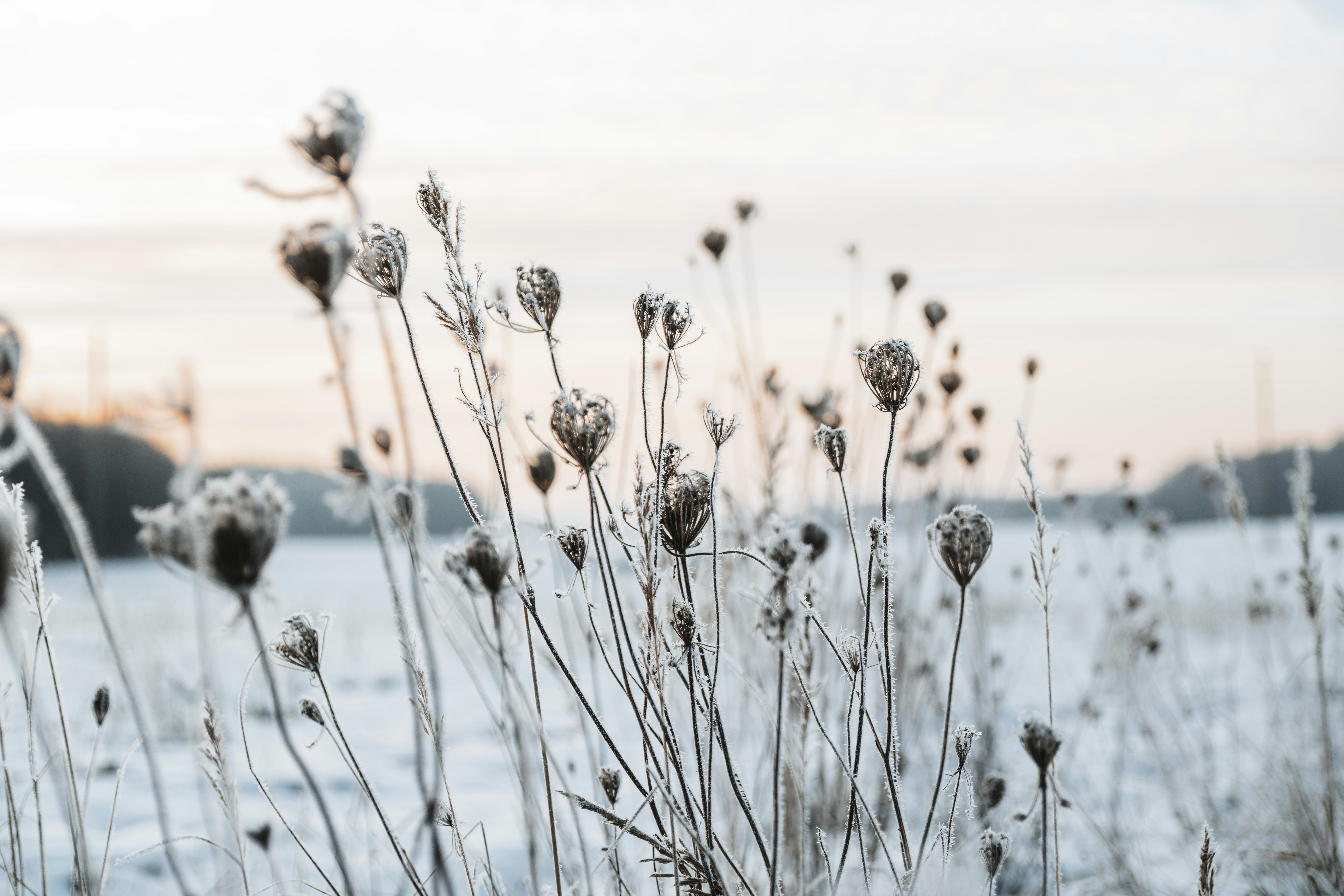 Photo by anitaaustvika