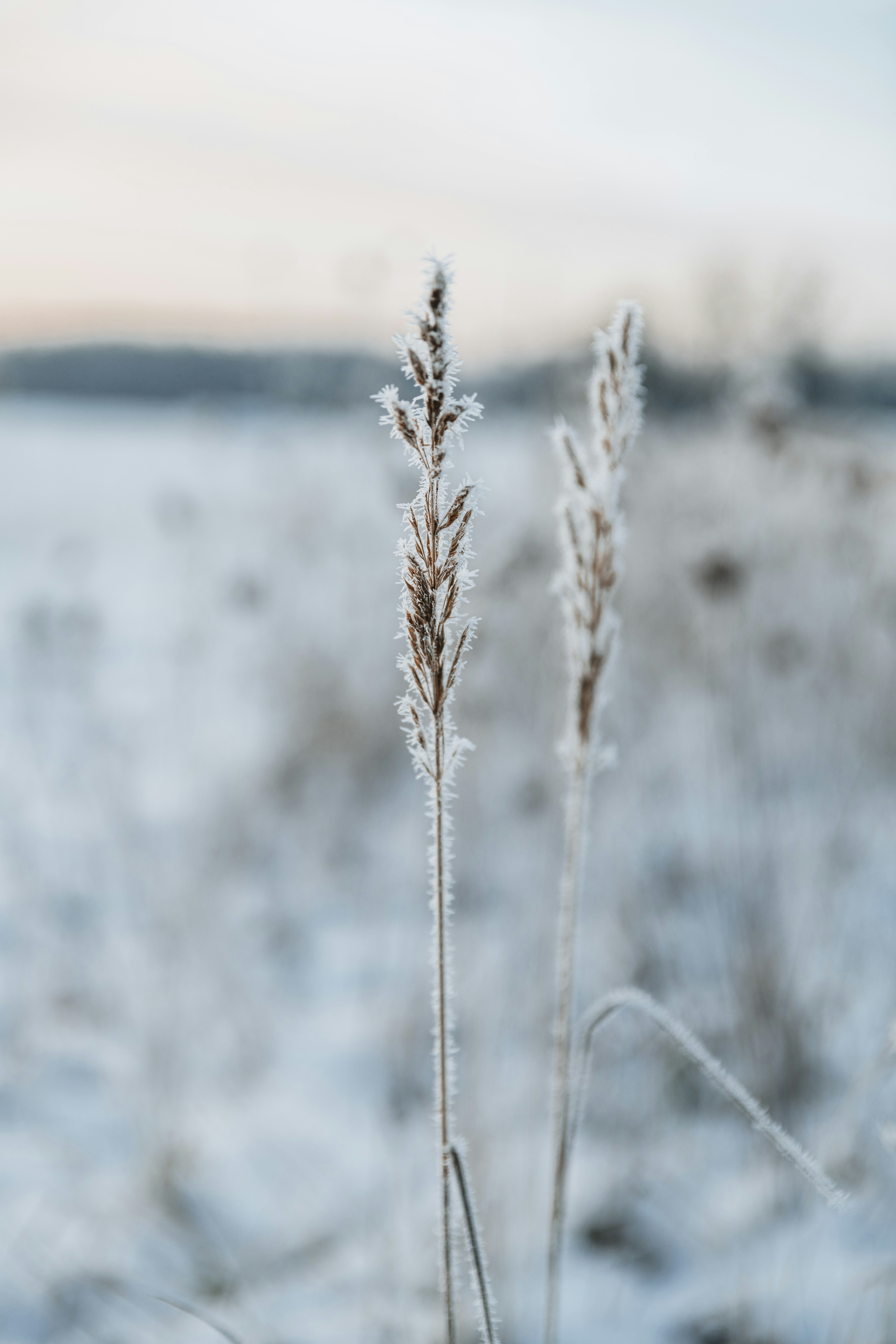 Photo by anitaaustvika