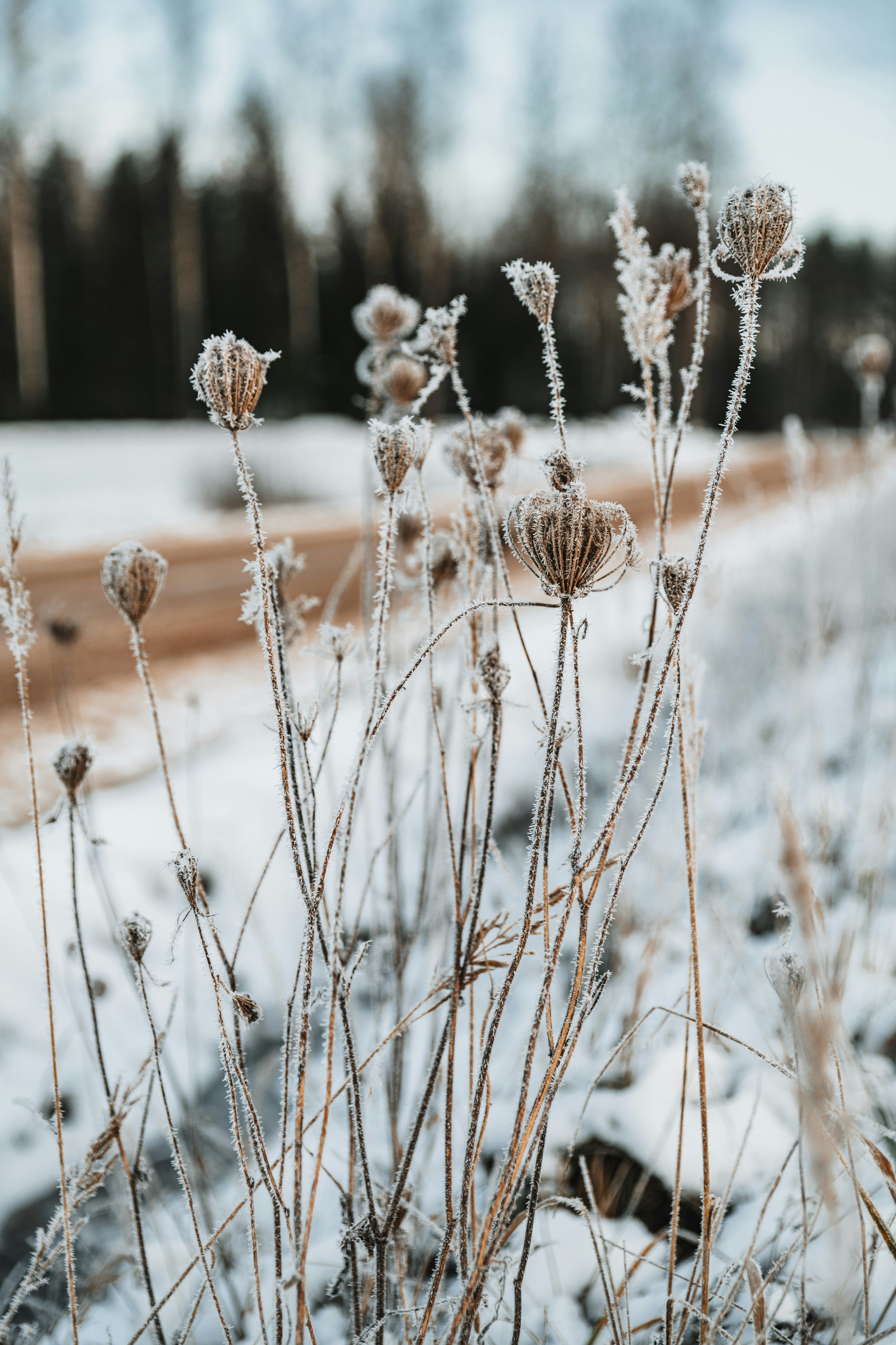 Photo by anitaaustvika