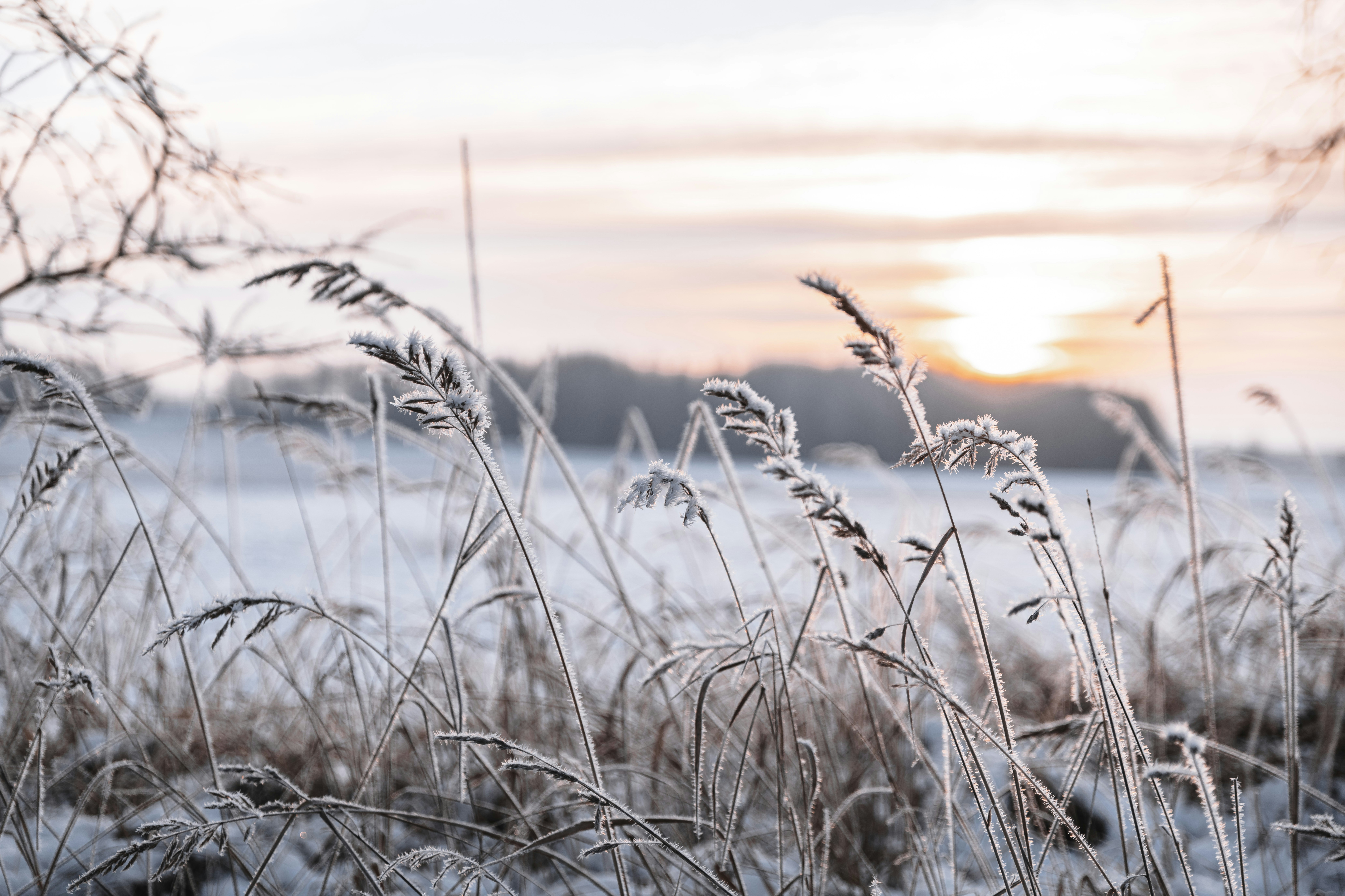 Photo by anitaaustvika