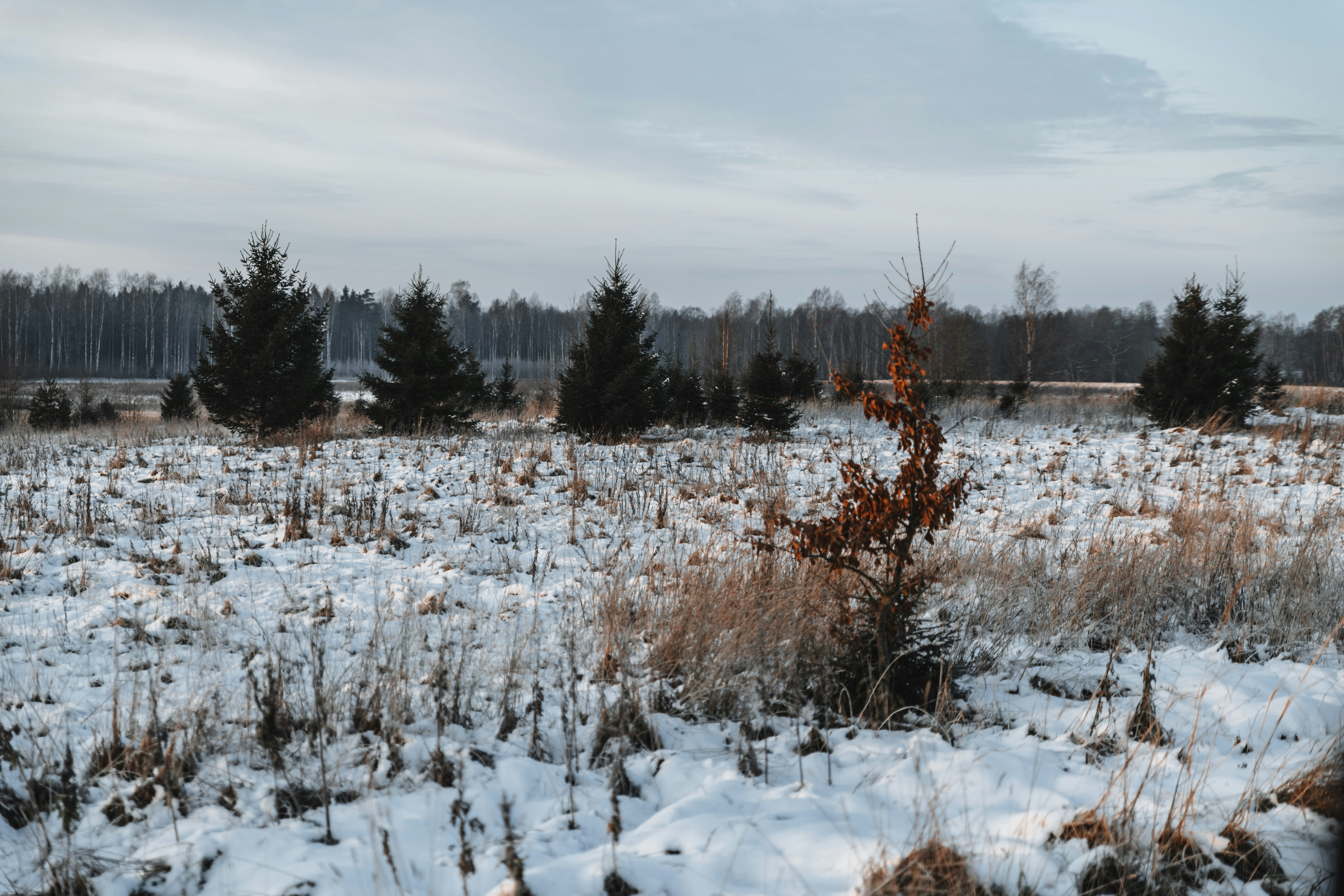 Photo by anitaaustvika