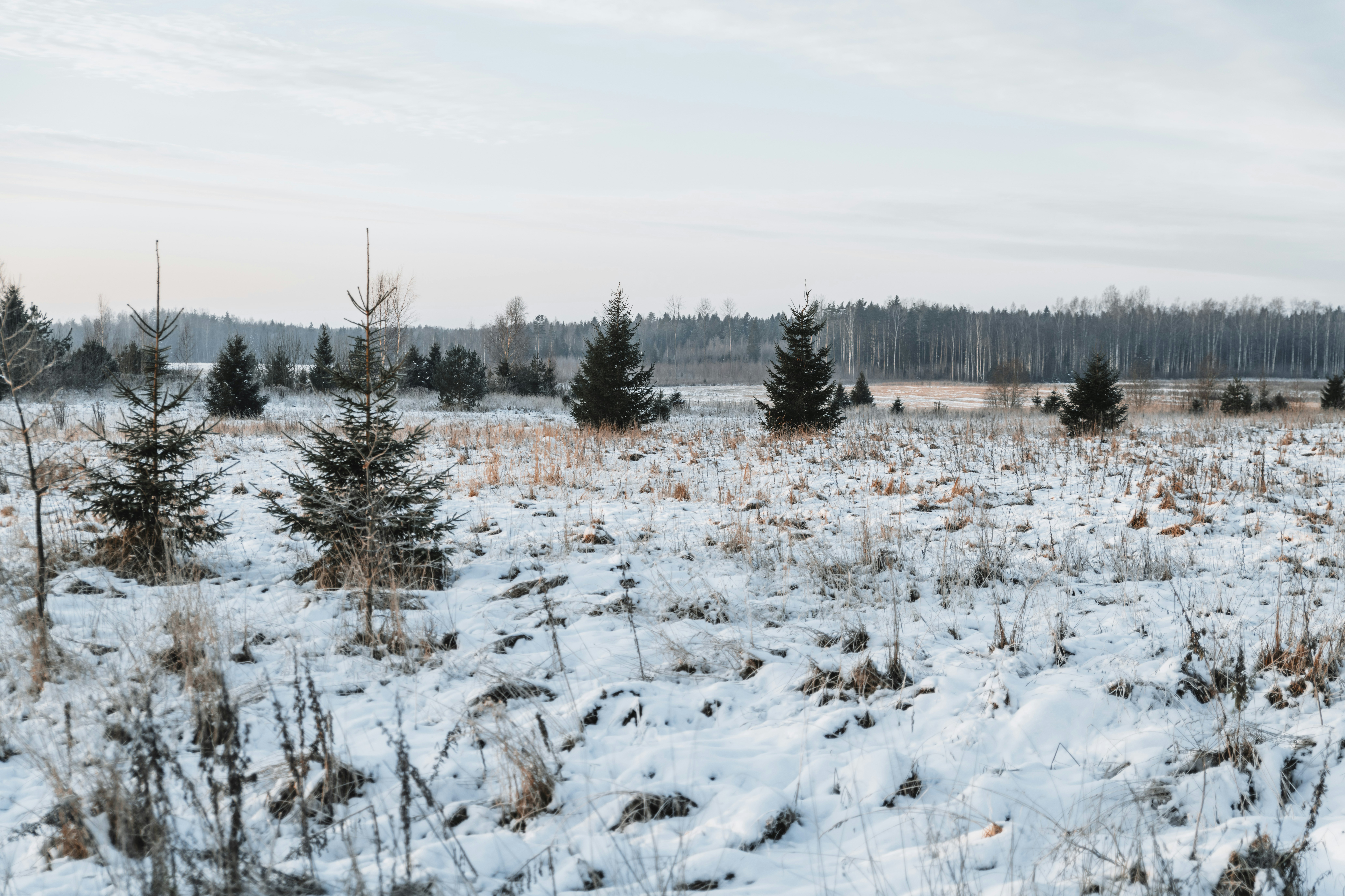 Photo by anitaaustvika