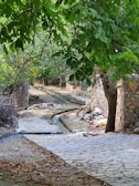 A quiet stone path winding through lush greenery in the garden.