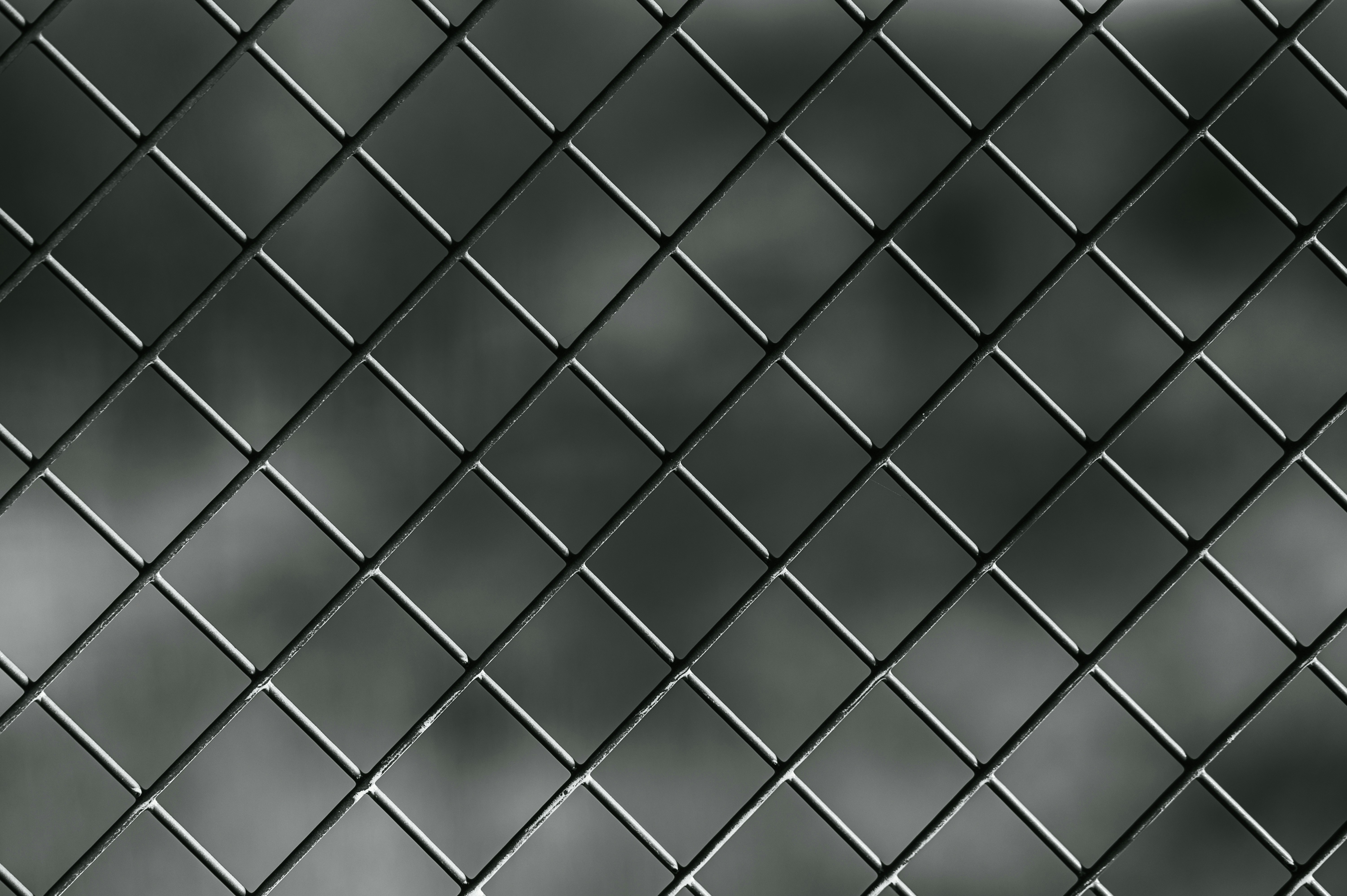 Photo by peek_a_boo_who