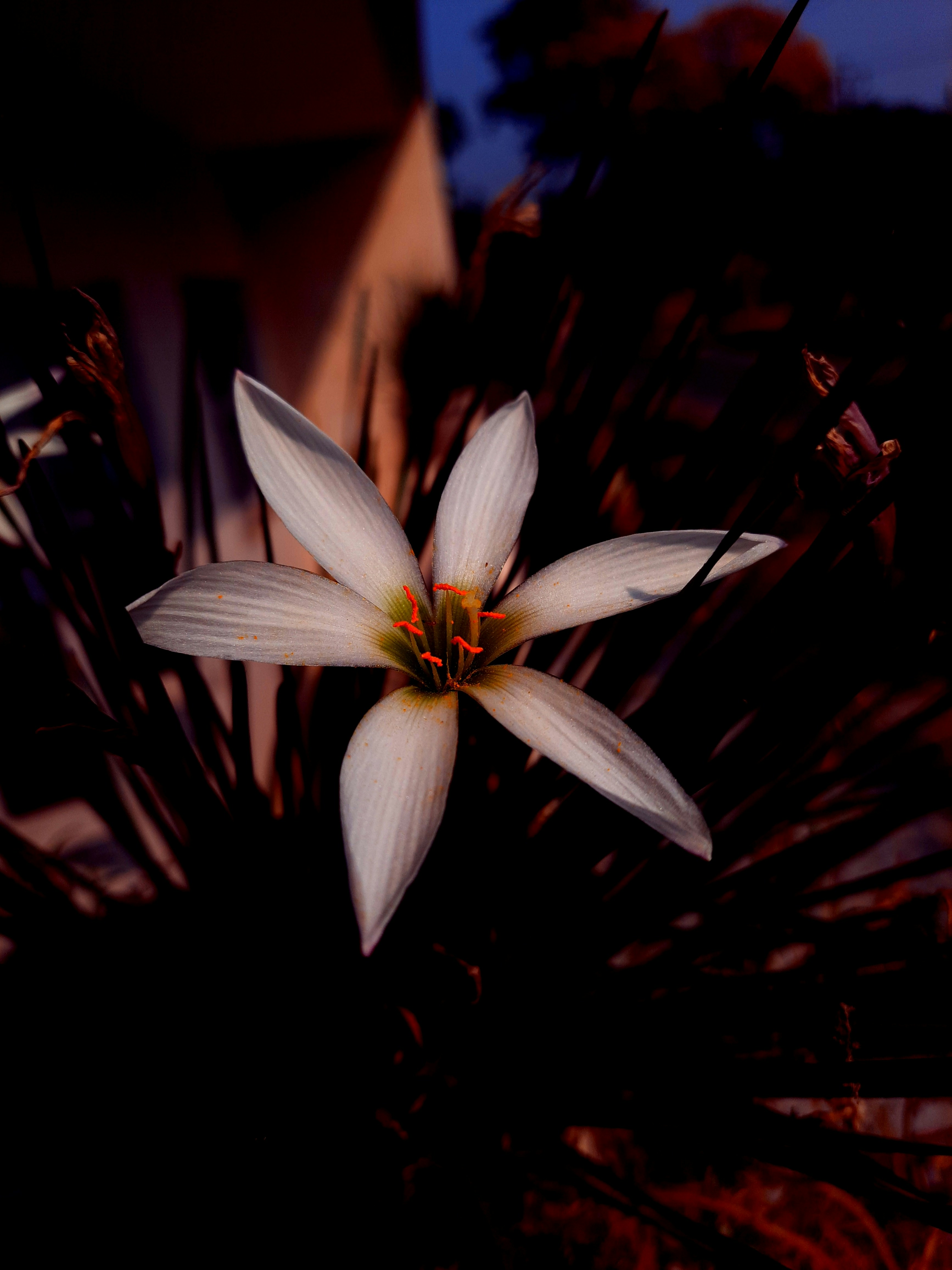 Photo by shutters_flutter