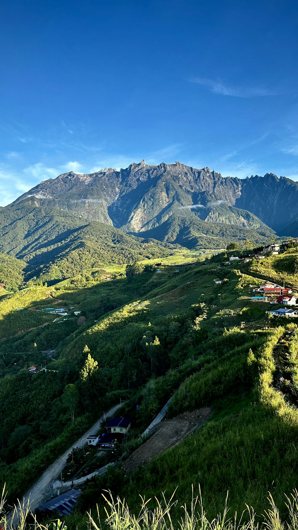 a road going through a valley with mountains in the background