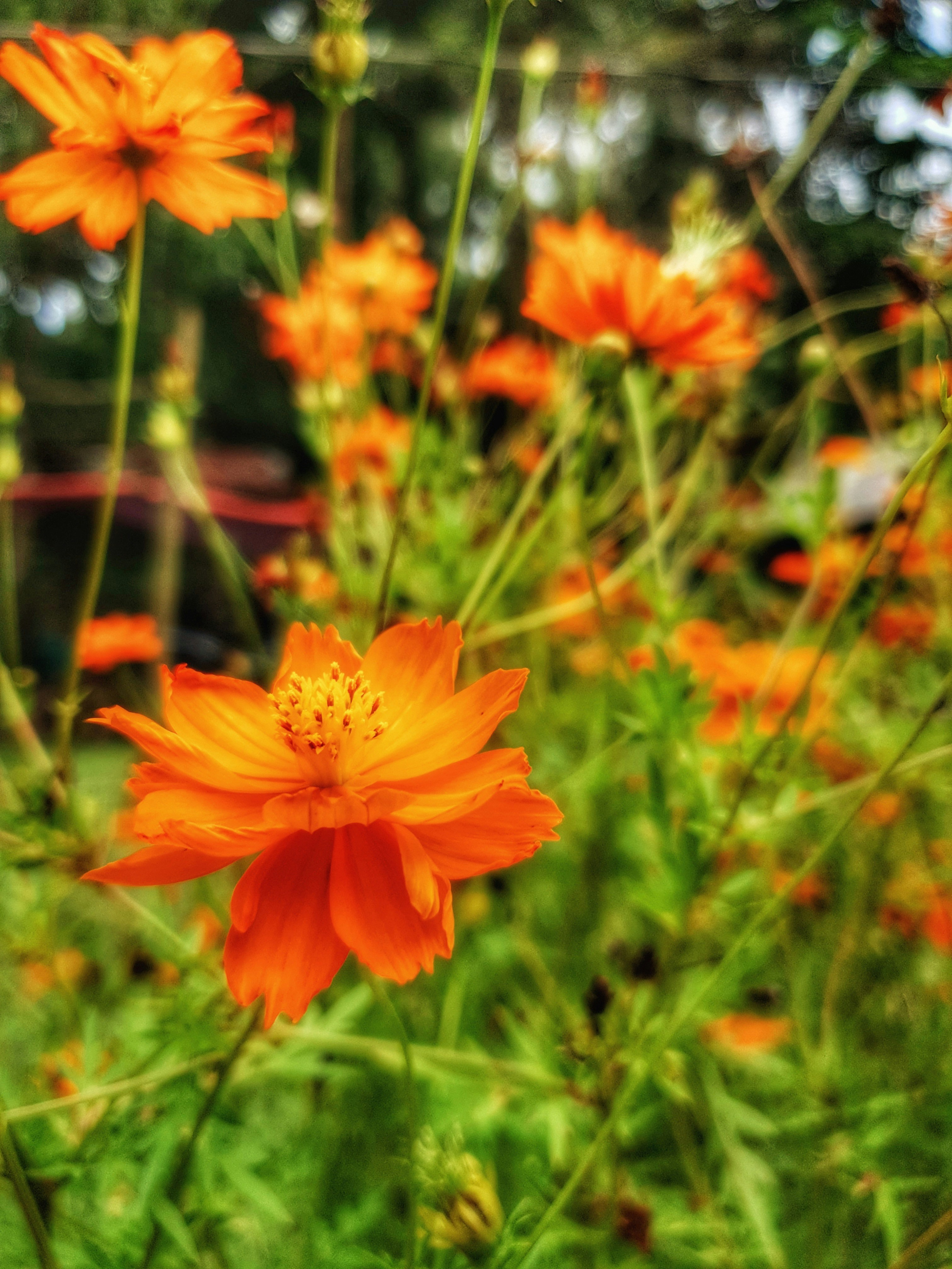 Photo by laurenz101