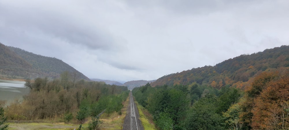 a road going through a forest