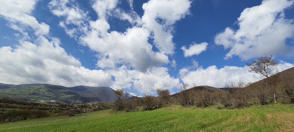 a grassy field with mountains in the background