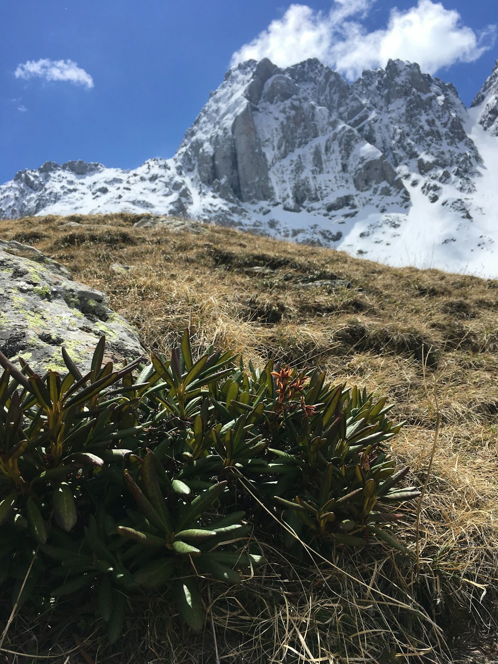 a mountain with snow