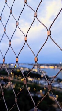 A close-up view of a metal wire mesh serves as the foreground, with each intersection connected by small metal clasps. In the background, there's a blurred view of a scenic landscape, possibly including a body of water, trees, and city lights, indicating an evening or dusk setting.