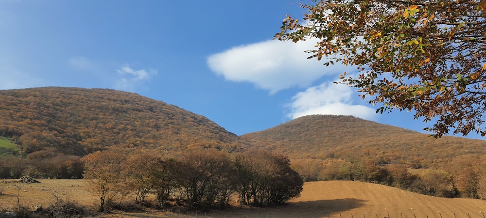 a landscape with hills and trees