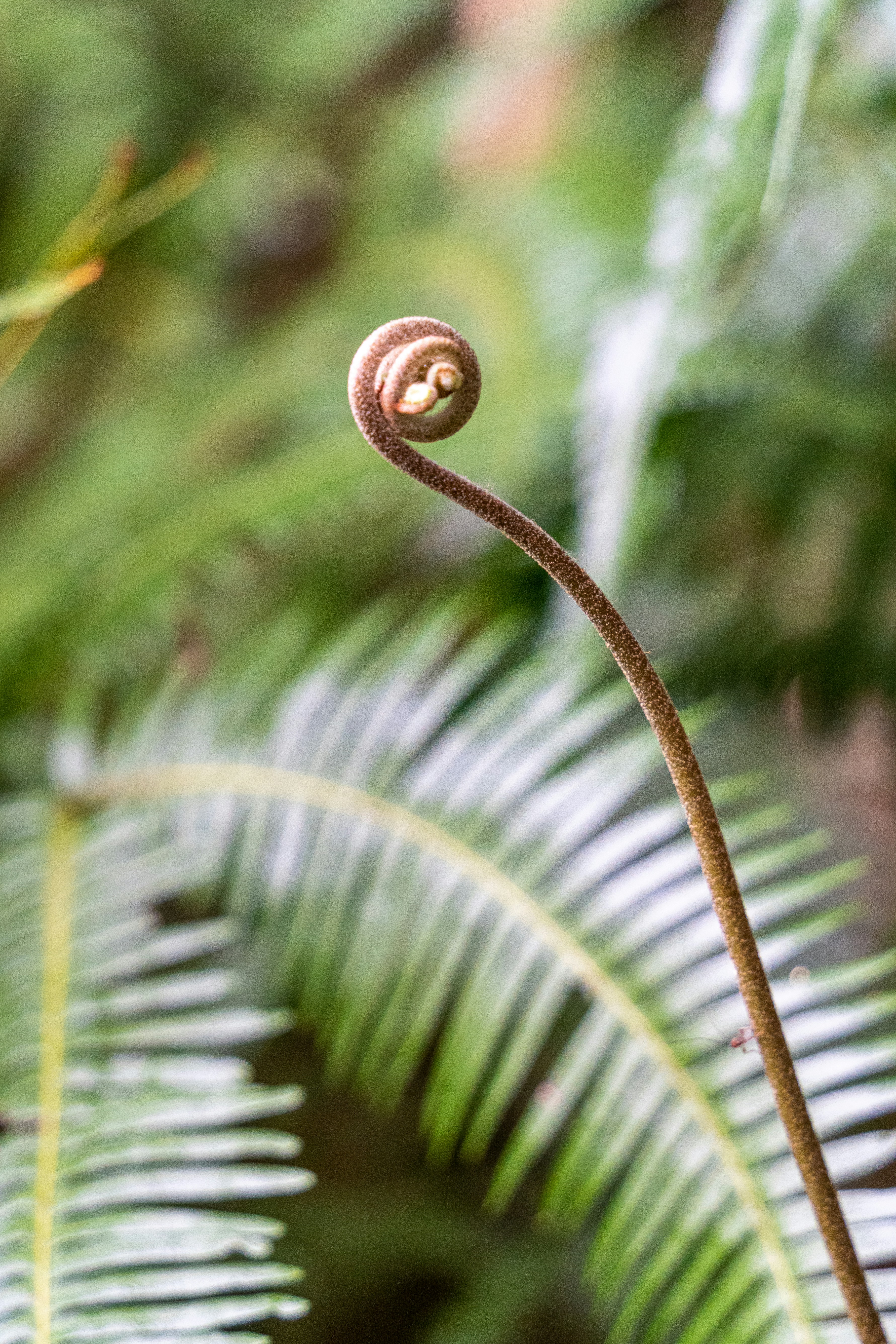 Photo by winstonchen