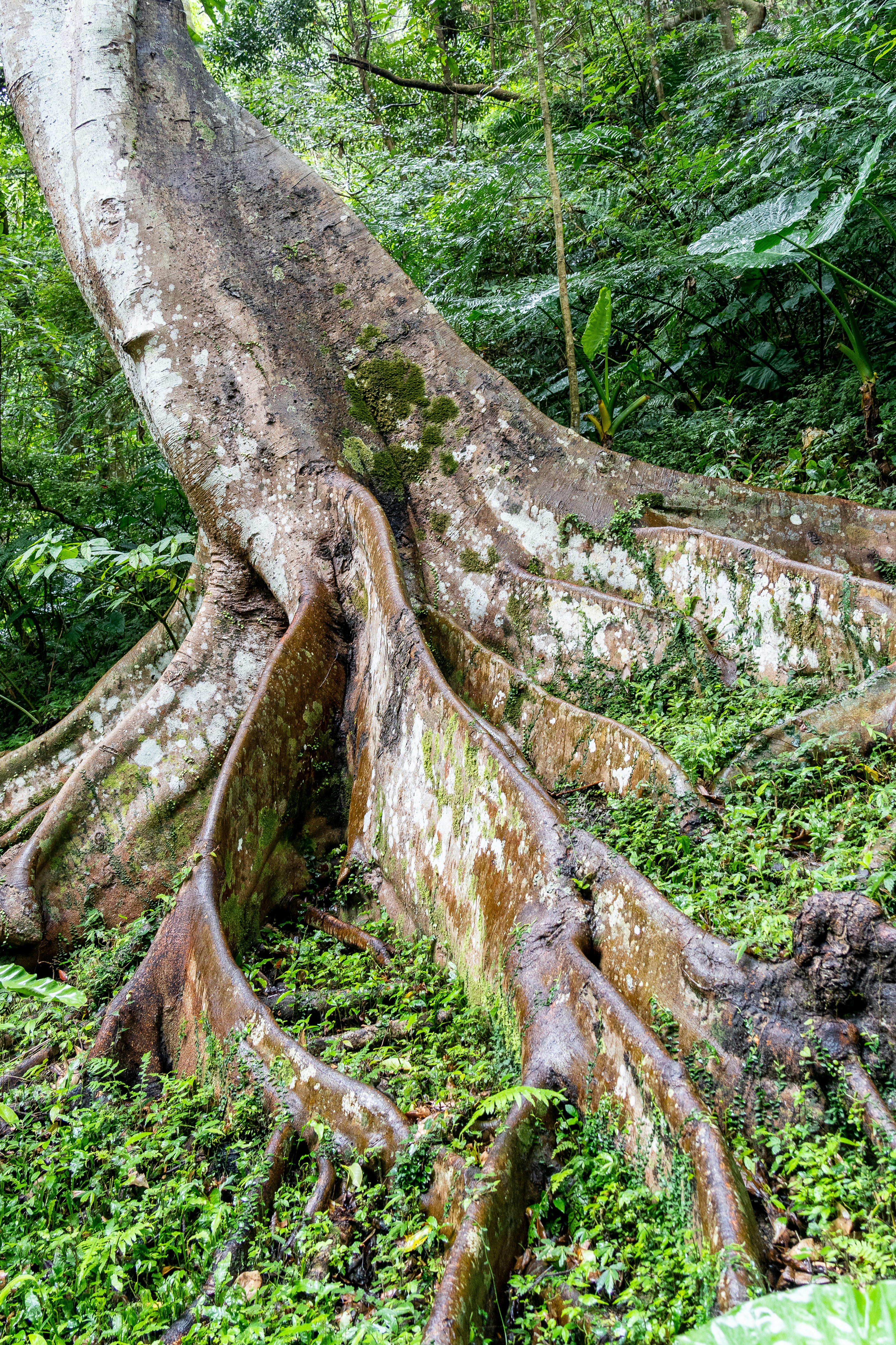 Photo by winstonchen