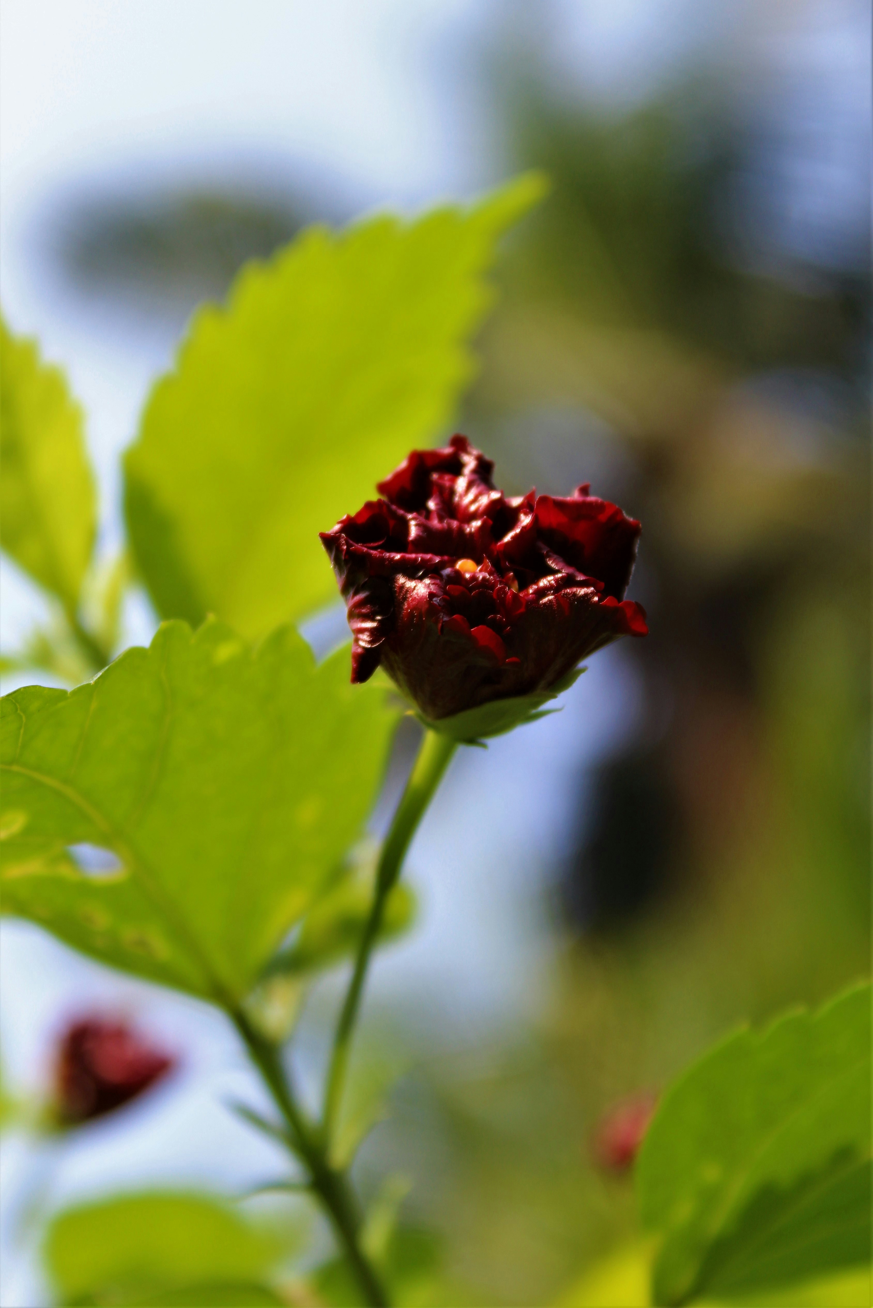 Photo by sanchh_shoot_shades_