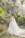 A bride stands in a lush garden setting surrounded by palm trees, wearing an elegant white wedding dress with a long train and holding a bouquet of flowers. Sunlight filters through the trees, creating a serene and picturesque atmosphere.