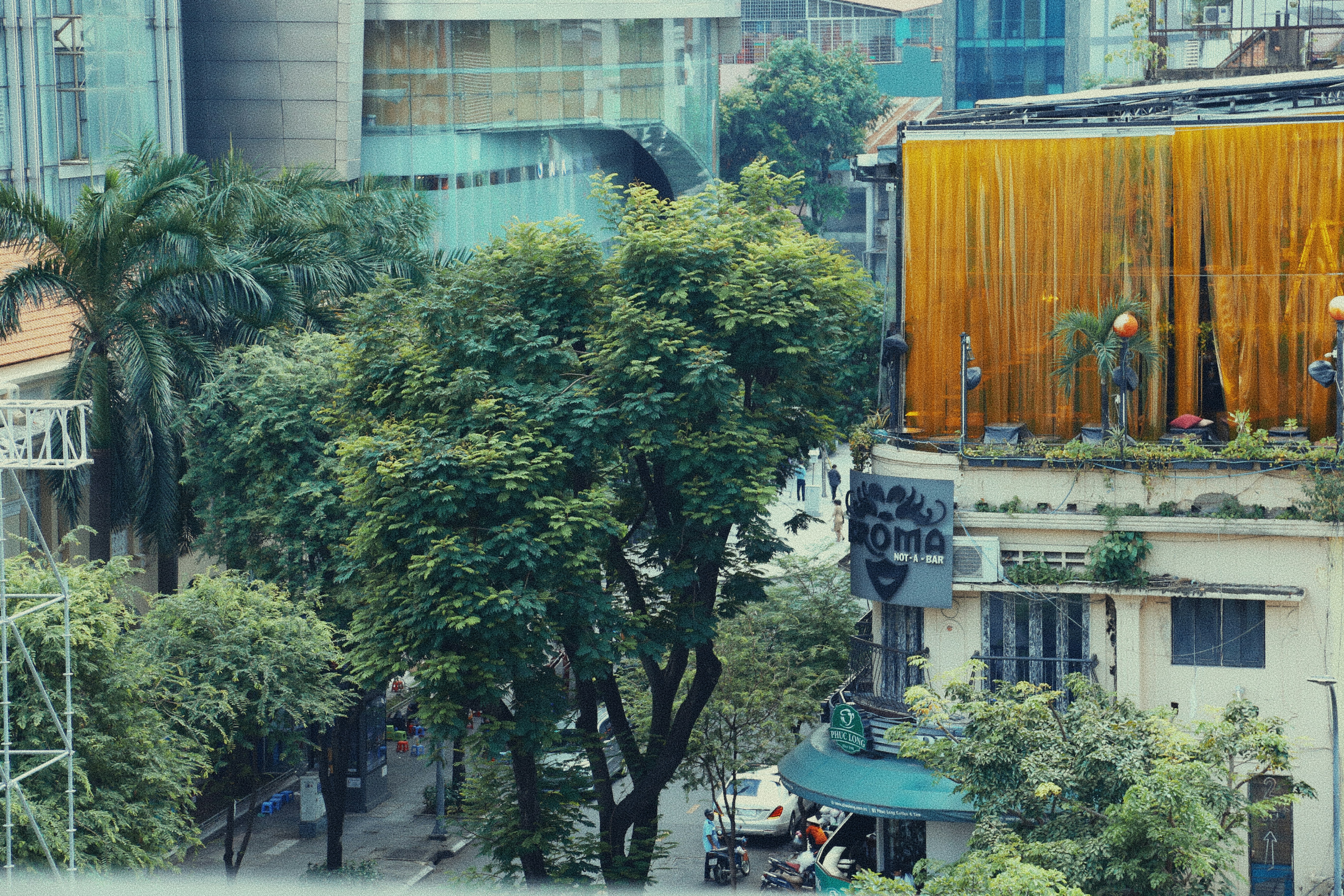 a street with trees and buildings, Working view