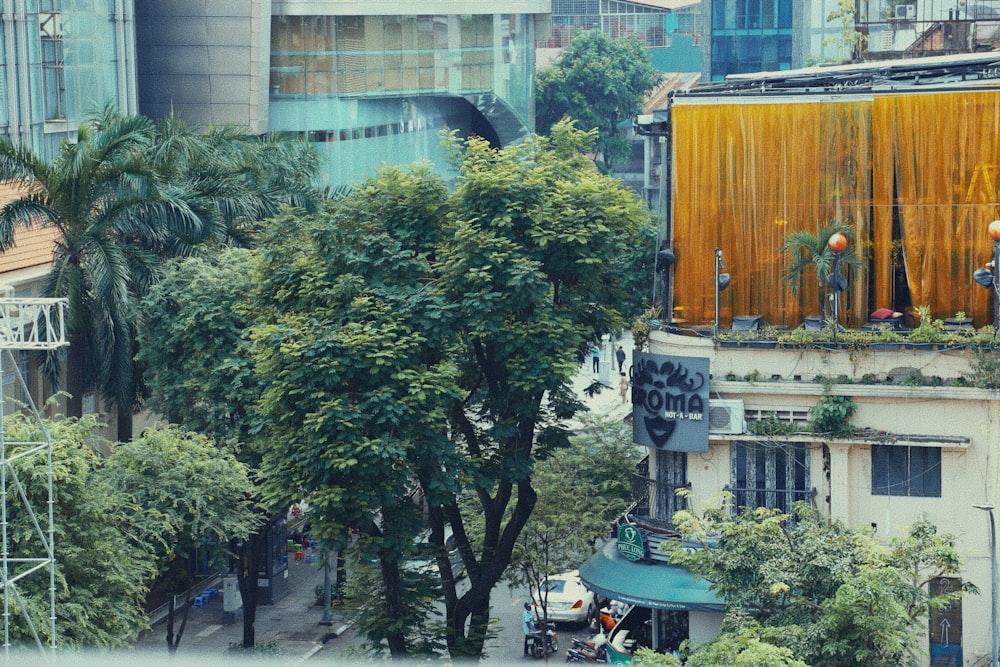 a street with trees and buildings