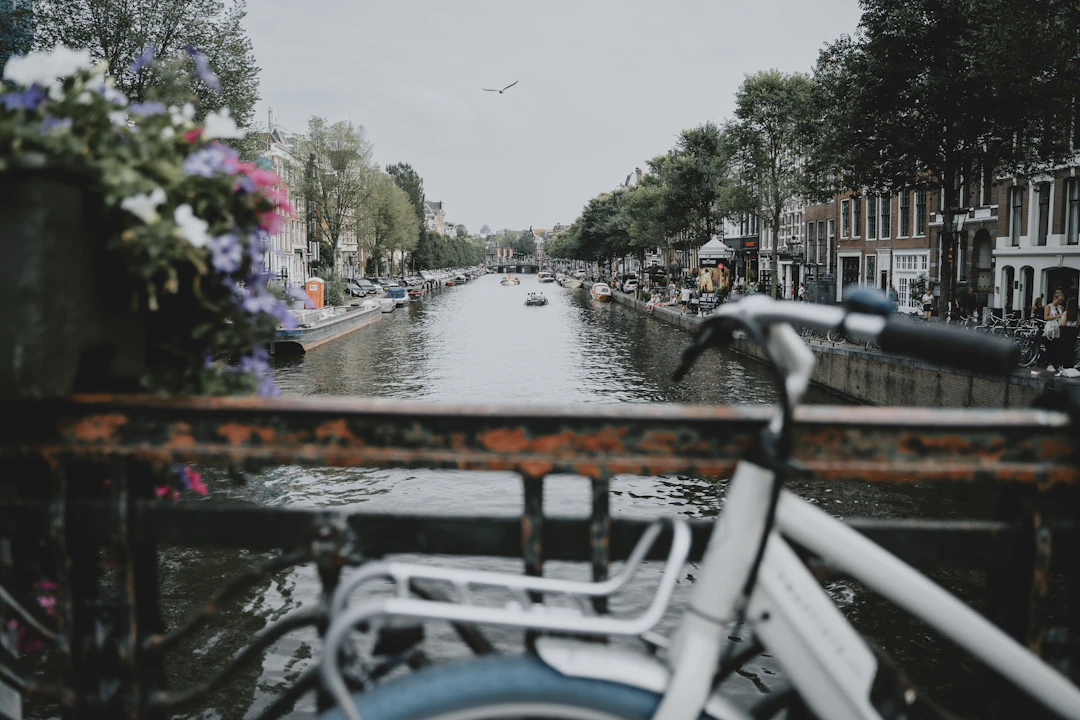 5-Day Family Travel Guide: Classic Netherlands Route