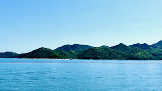 A serene view of rolling hills and ocean in Dominica, capturing the essence of the land parcels available.