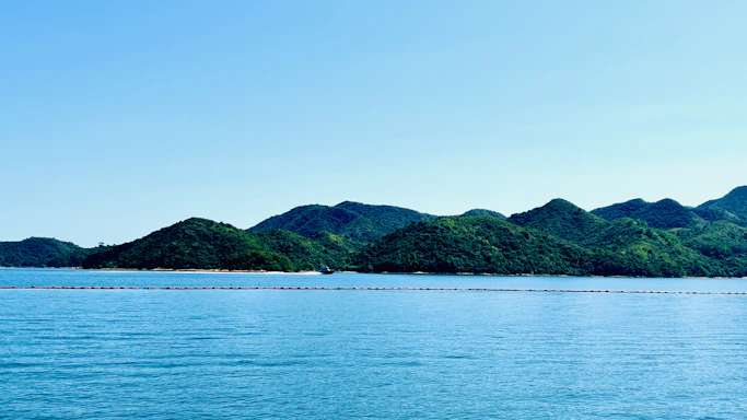 A serene view of rolling hills and ocean in Dominica, capturing the essence of the land parcels available.