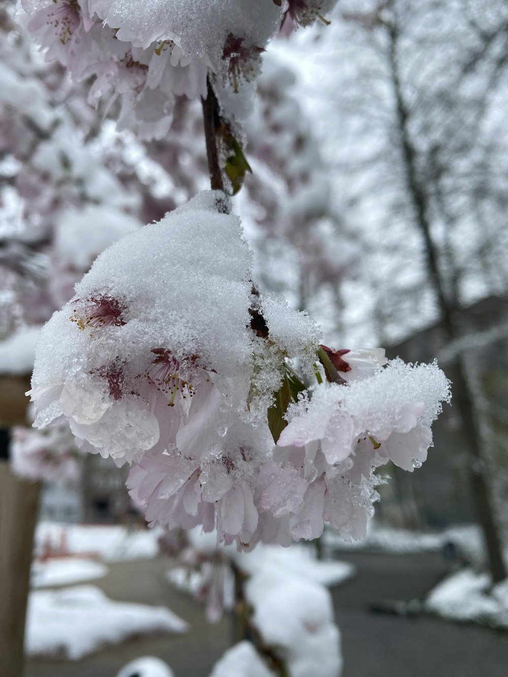 a close up of some snow