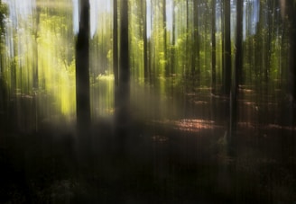 An abstract representation of a tranquil forest scene.