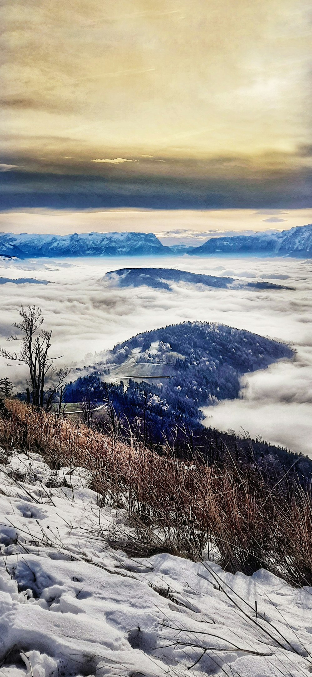 a snowy landscape with mountains in the background