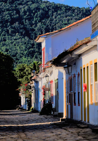 a row of buildings with colorful flags