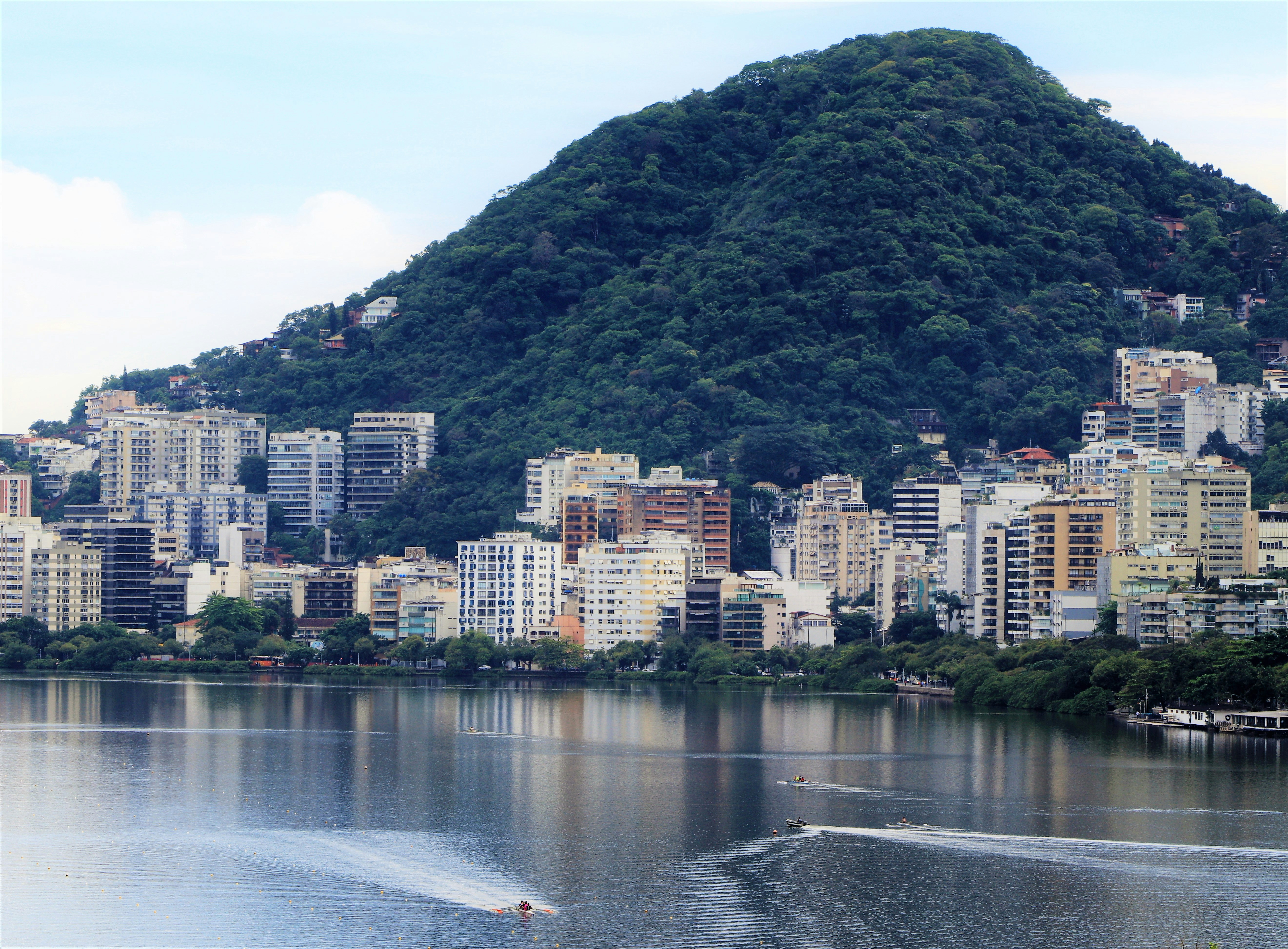 Athlètes pratiquant l aviron sur les eaux du lac Rodrigo de Freitas avec la ville en arrière-plan