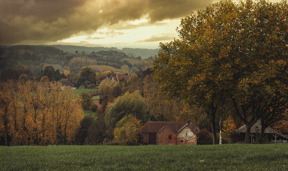 a house in a field