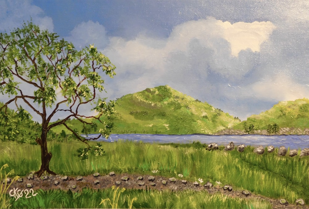 a grassy field with a body of water and a tree