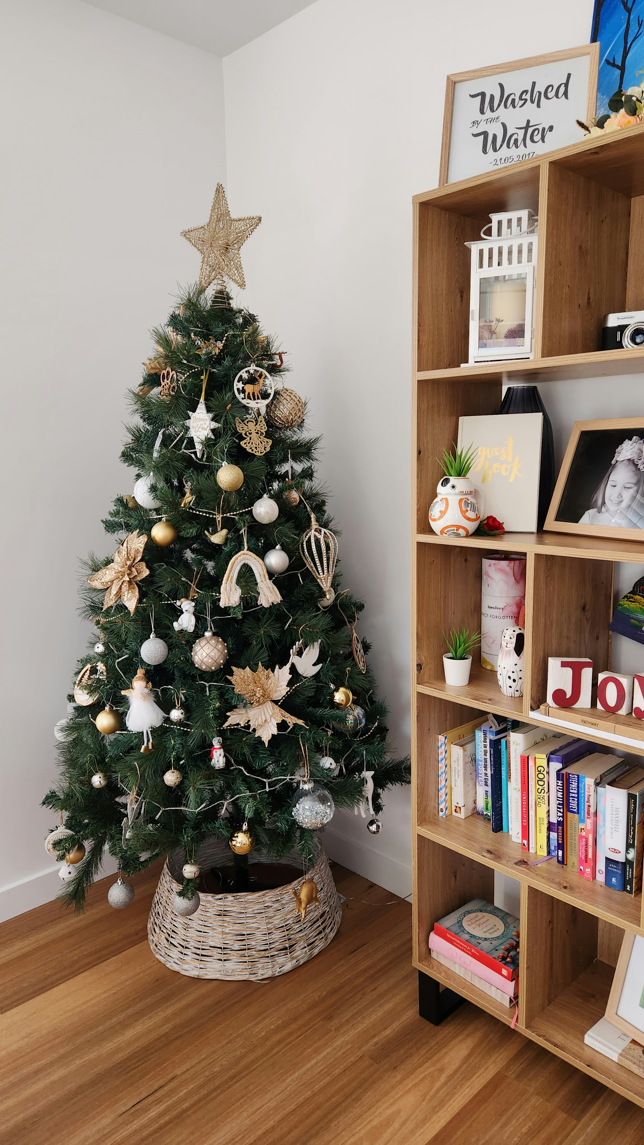 Christmas tree and bookshelf