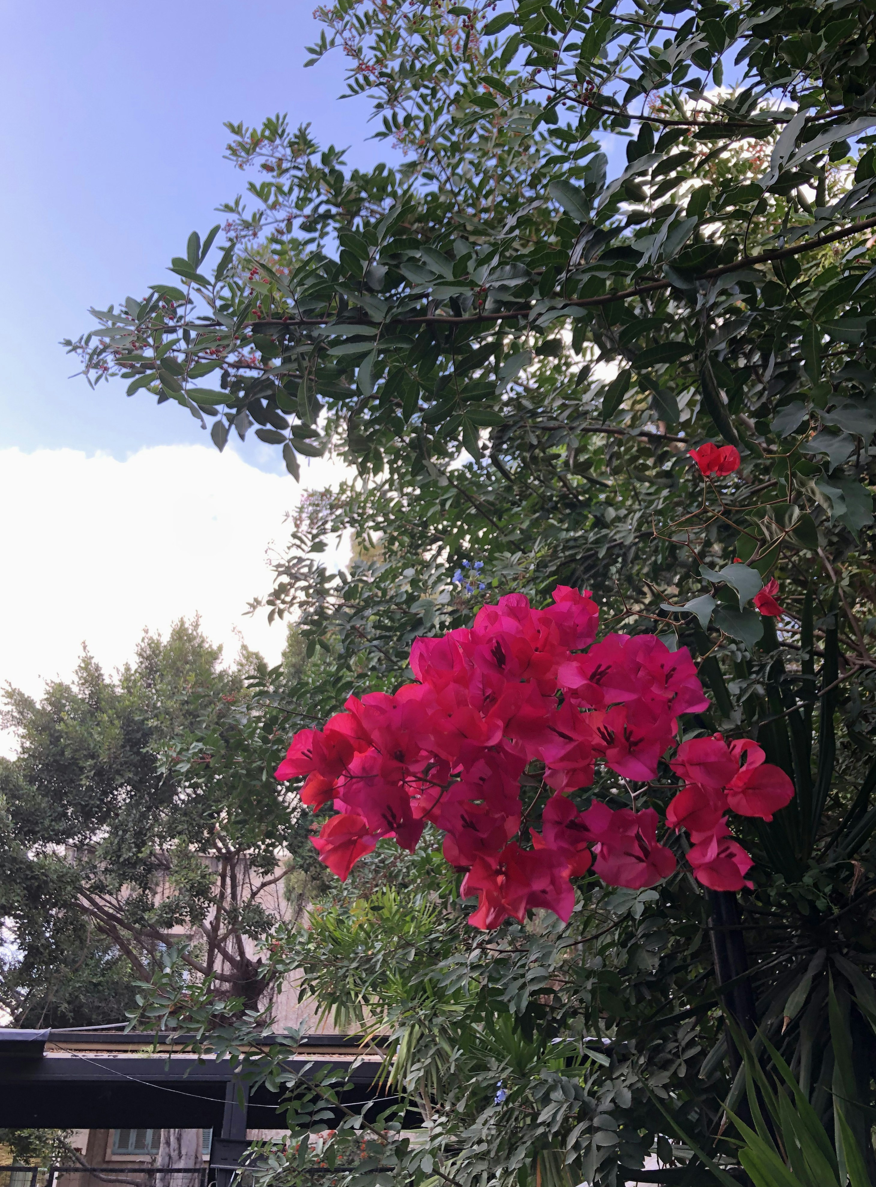 Photo by sohailai_darwesh