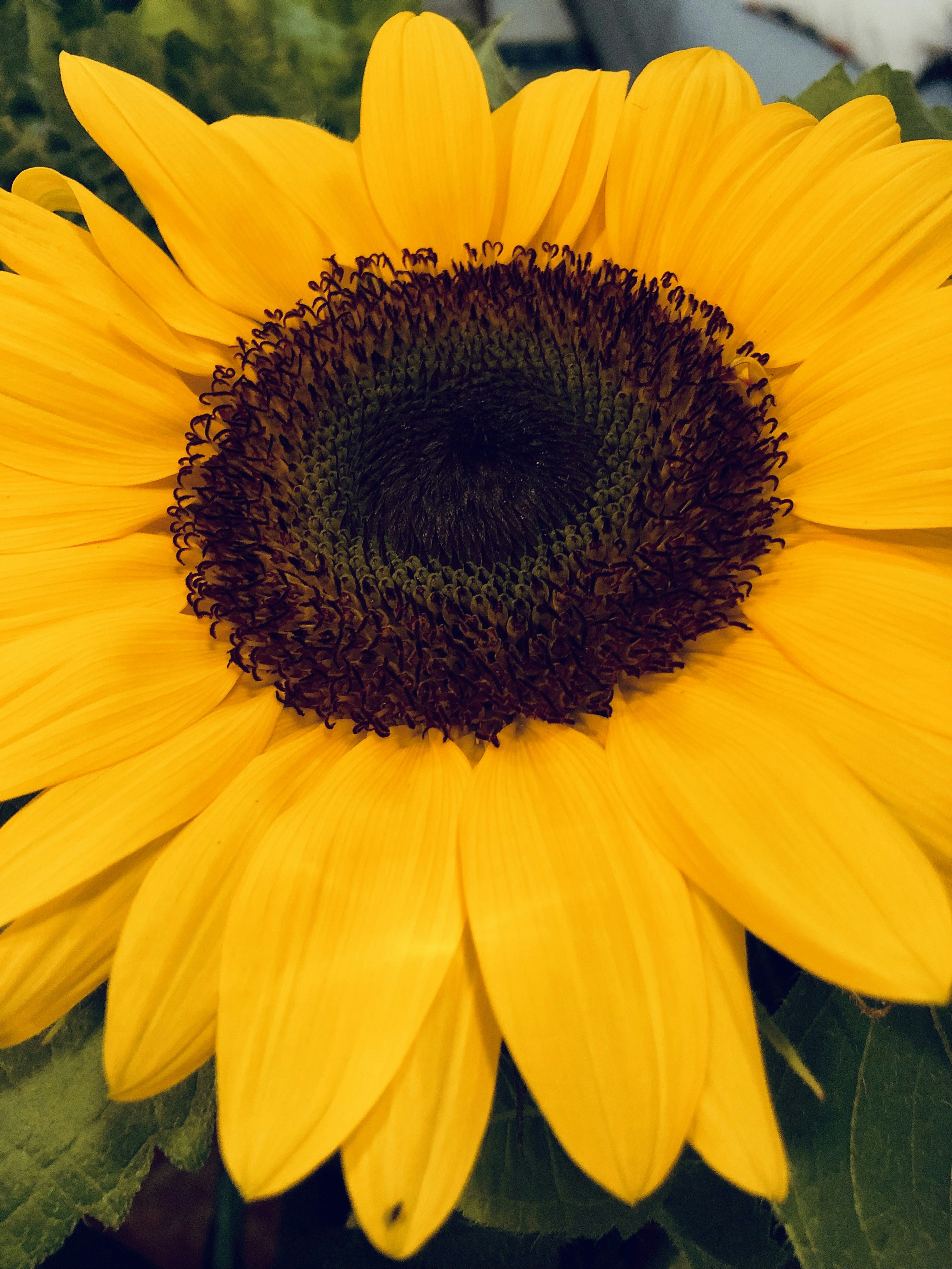 Photo by martins_sandra