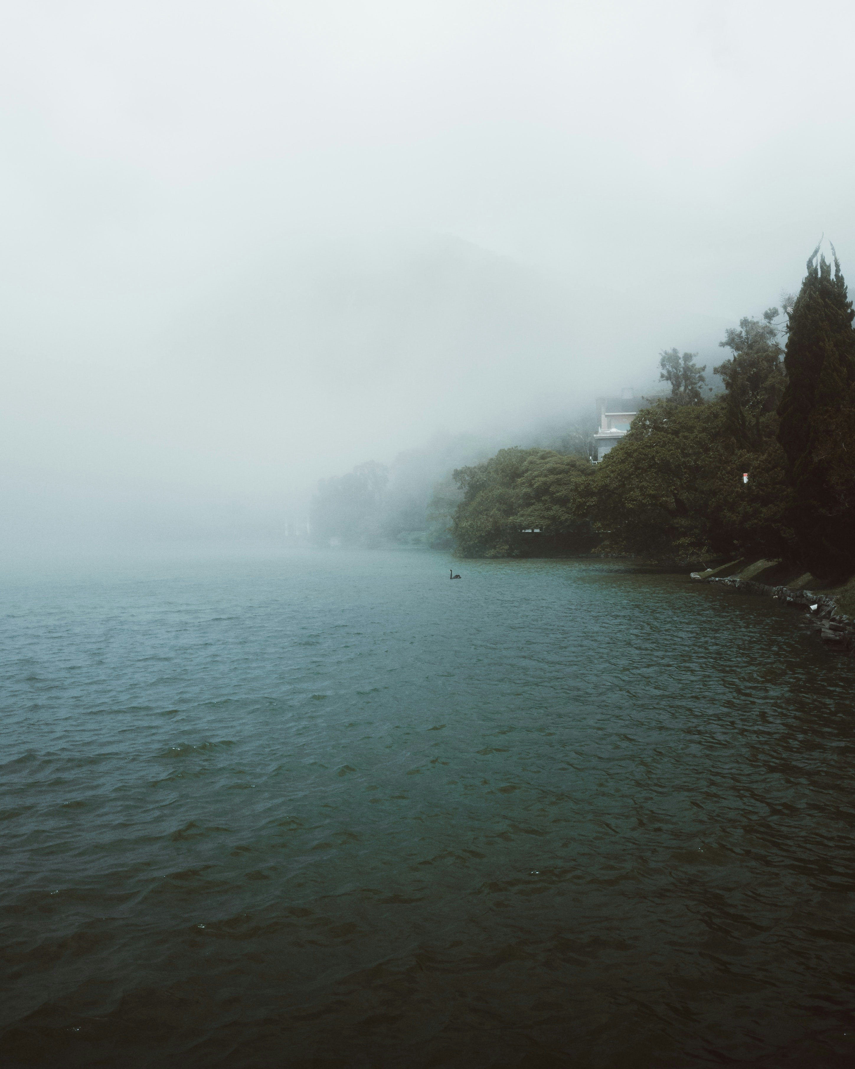 Photo by allancphotography