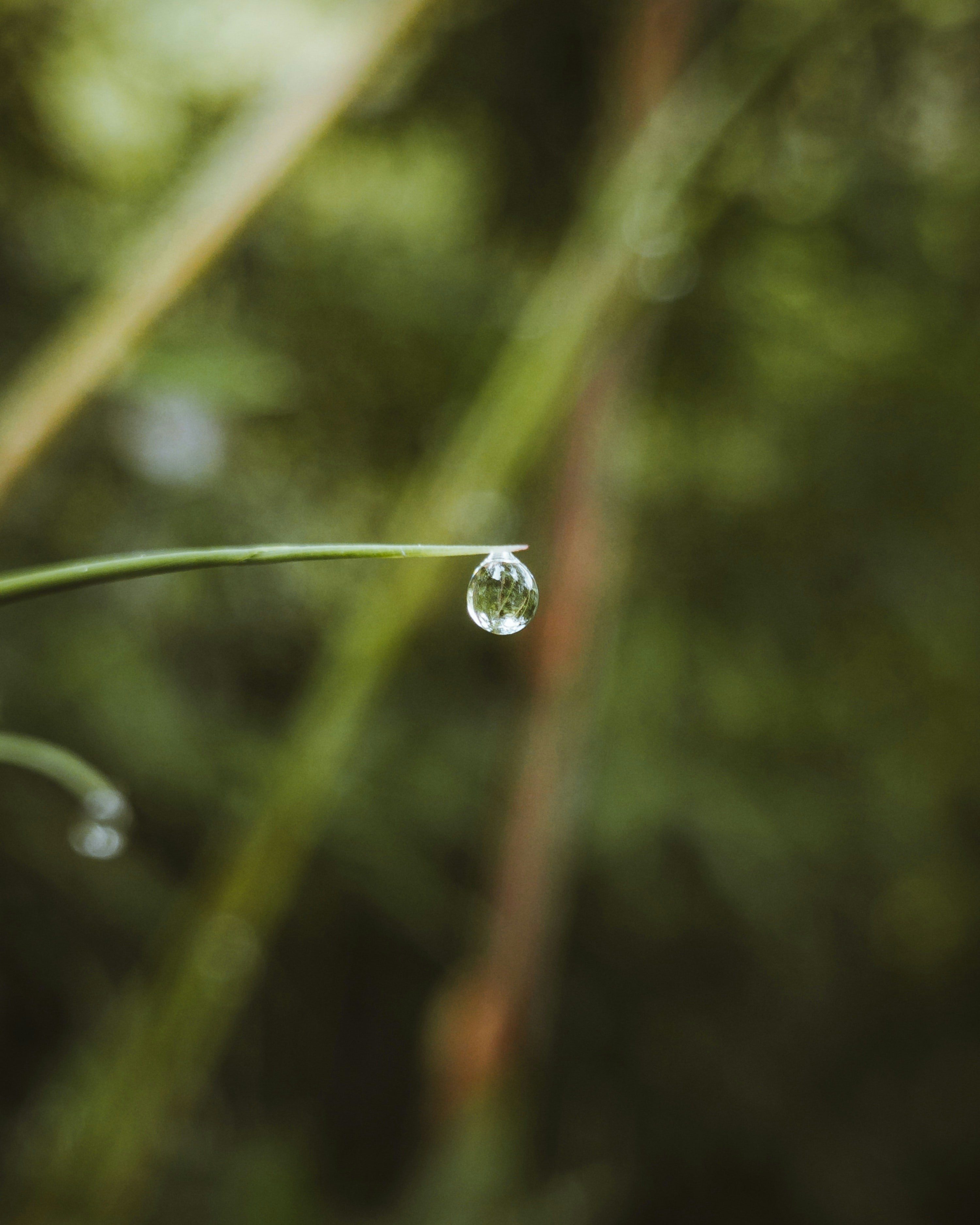 Photo by allancphotography