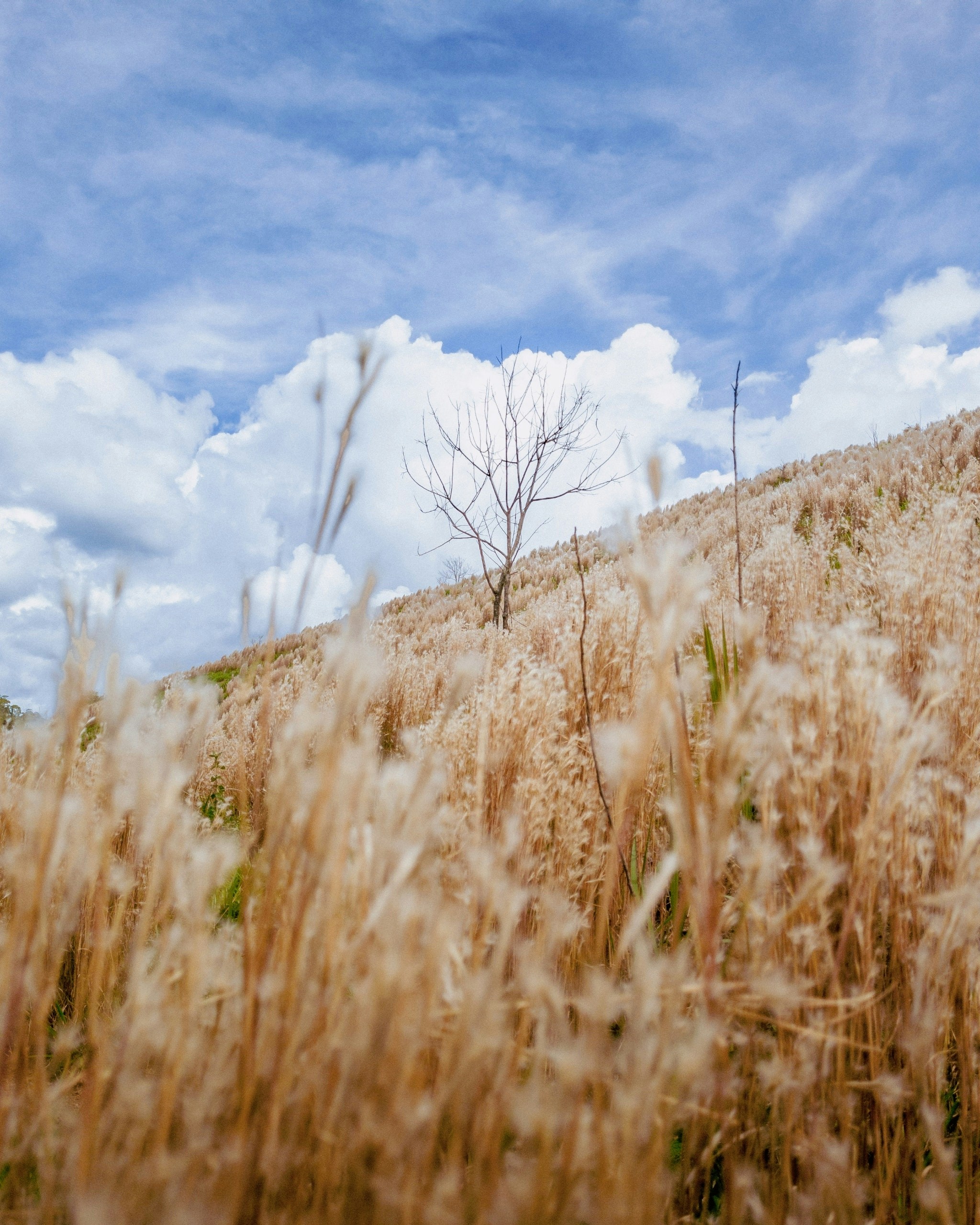 Photo by allancphotography