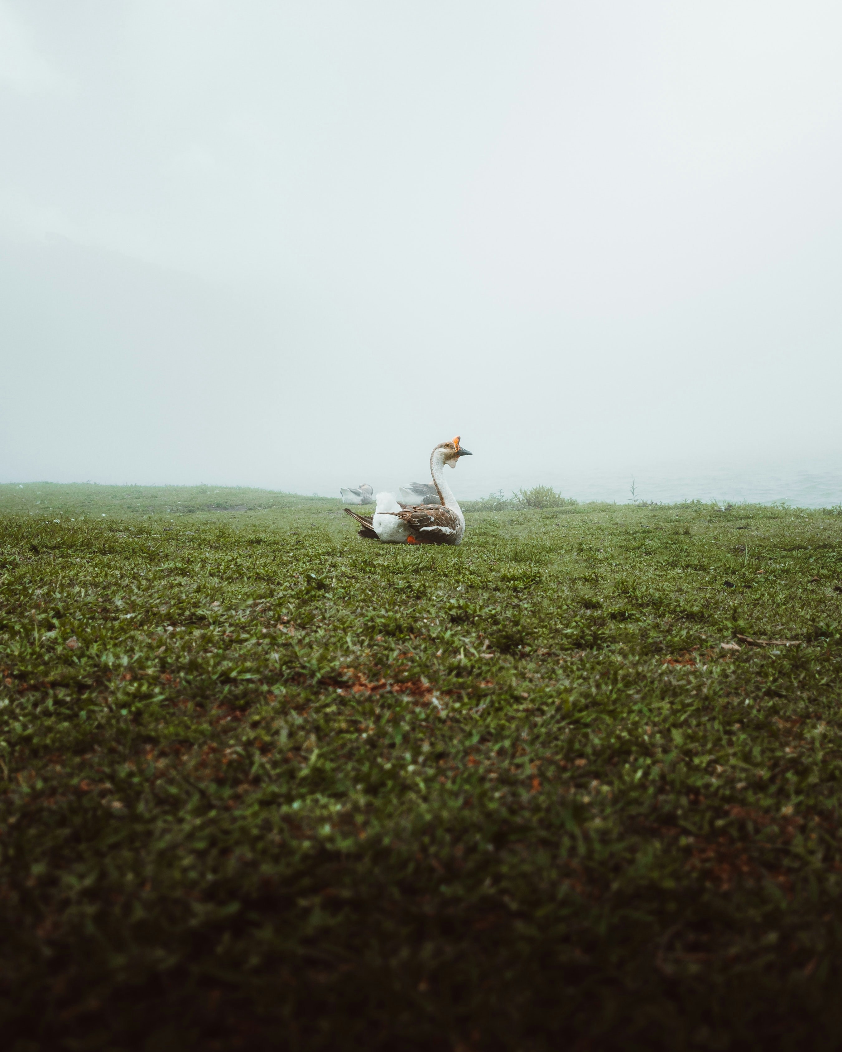 Photo by allancphotography