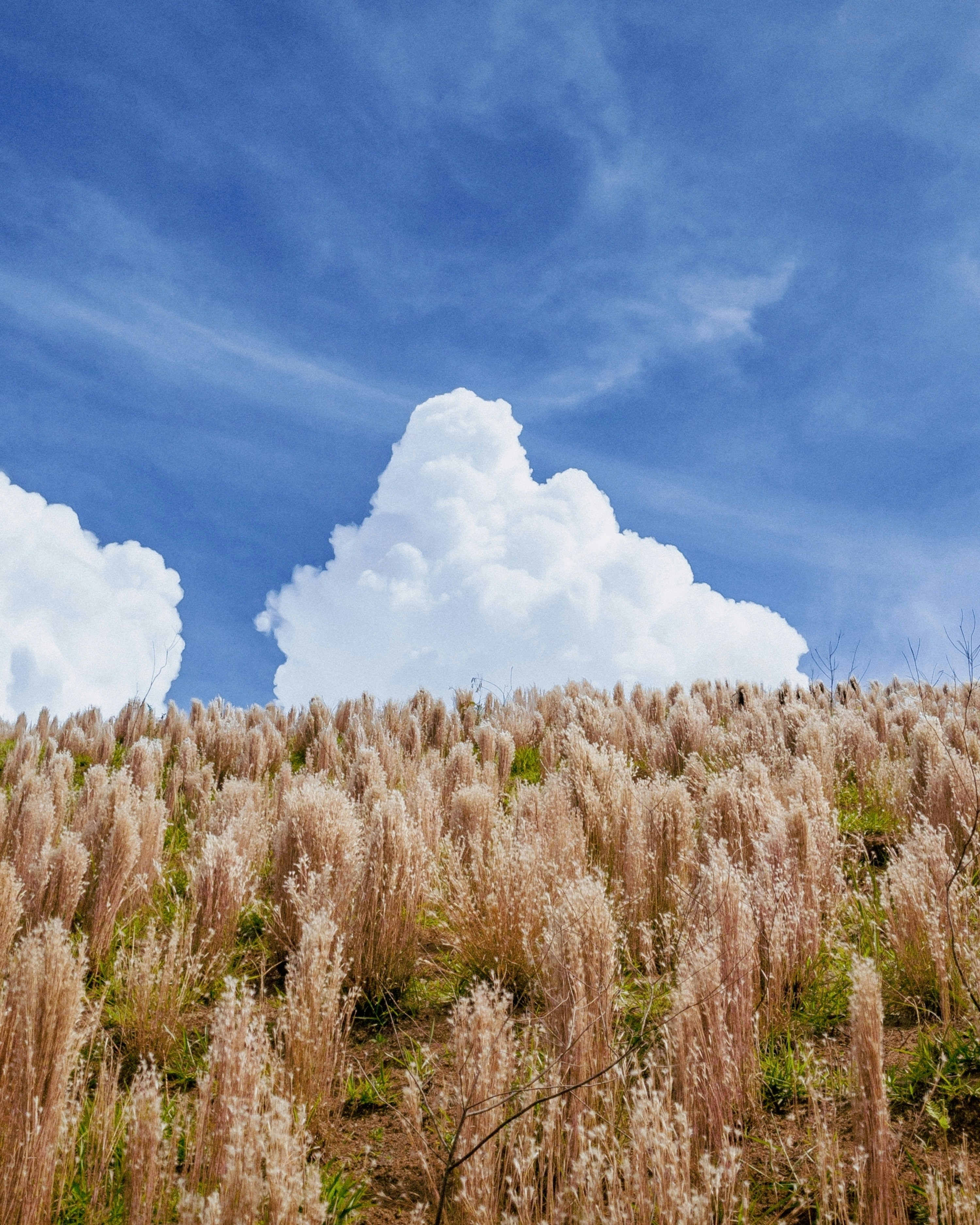 Photo by allancphotography