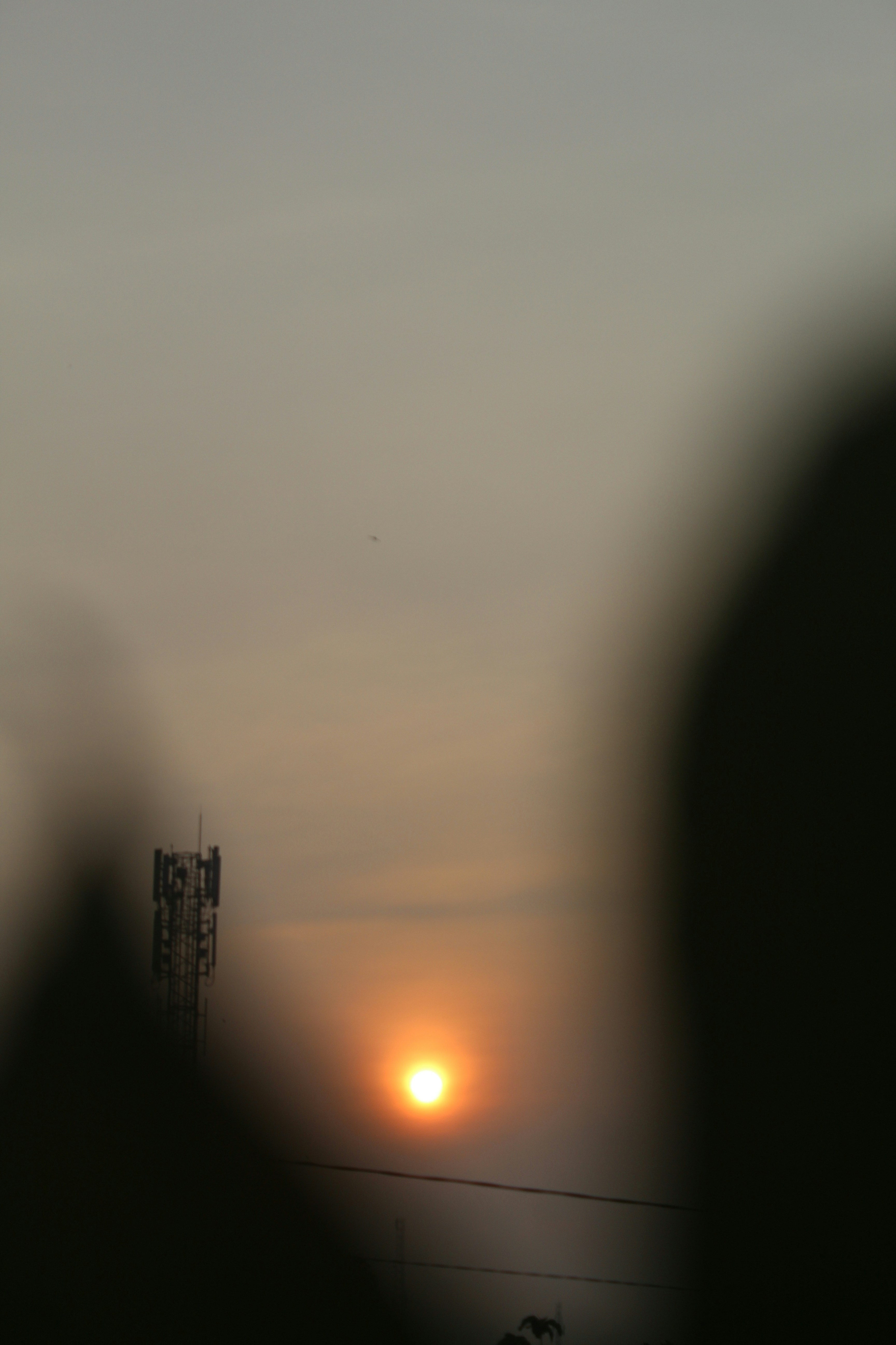 Photo by anandyp