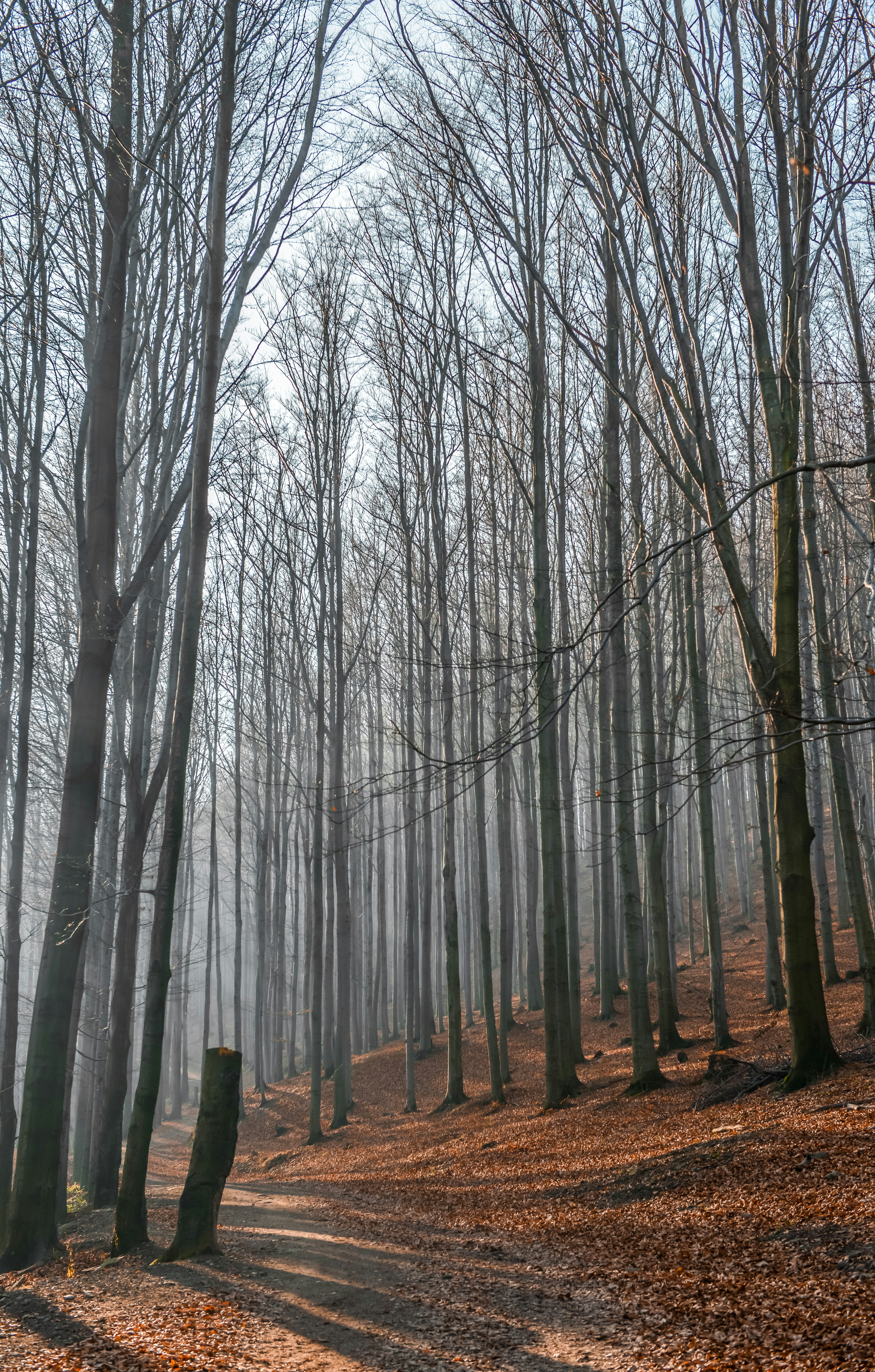 Photo by alexandra_p_d