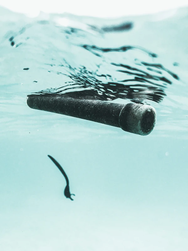 Underwater Diving Services