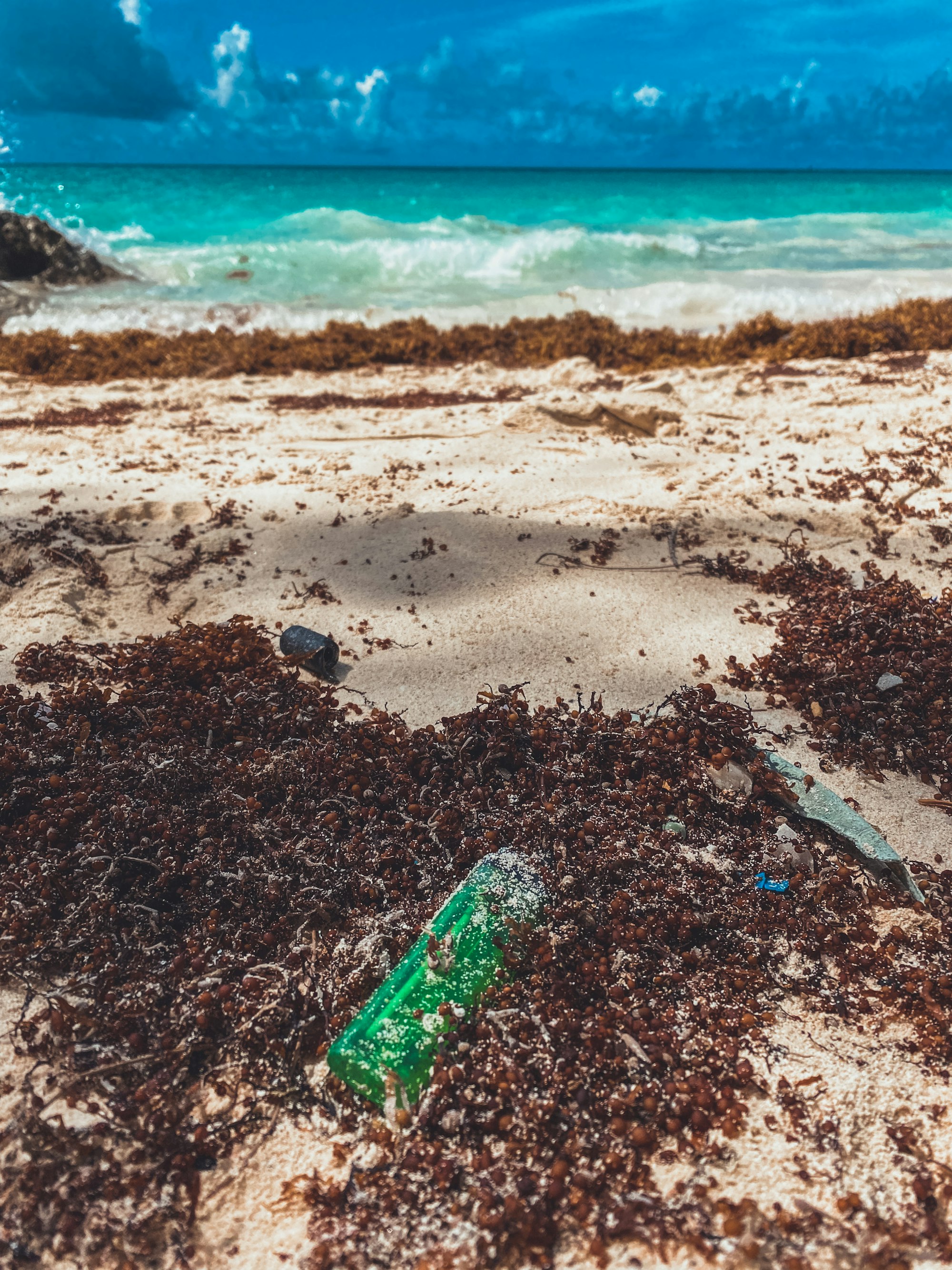 Why is Sargassum Seaweed Killing Your Vacation Fun on Caribbean Beaches?