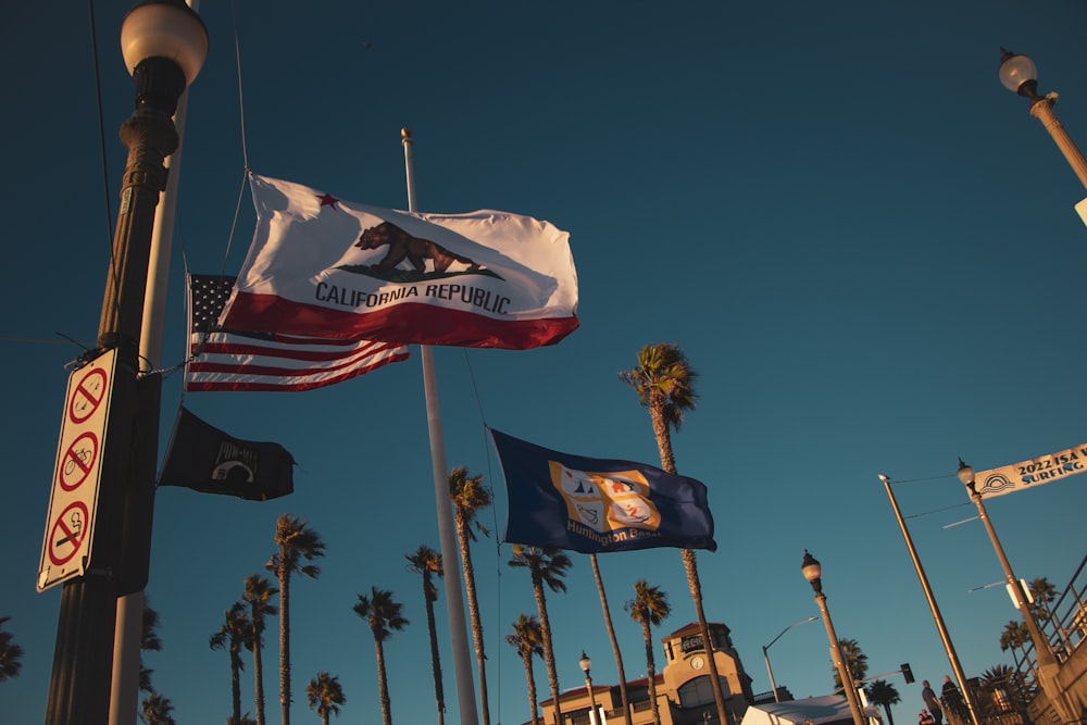 flags flying in the air