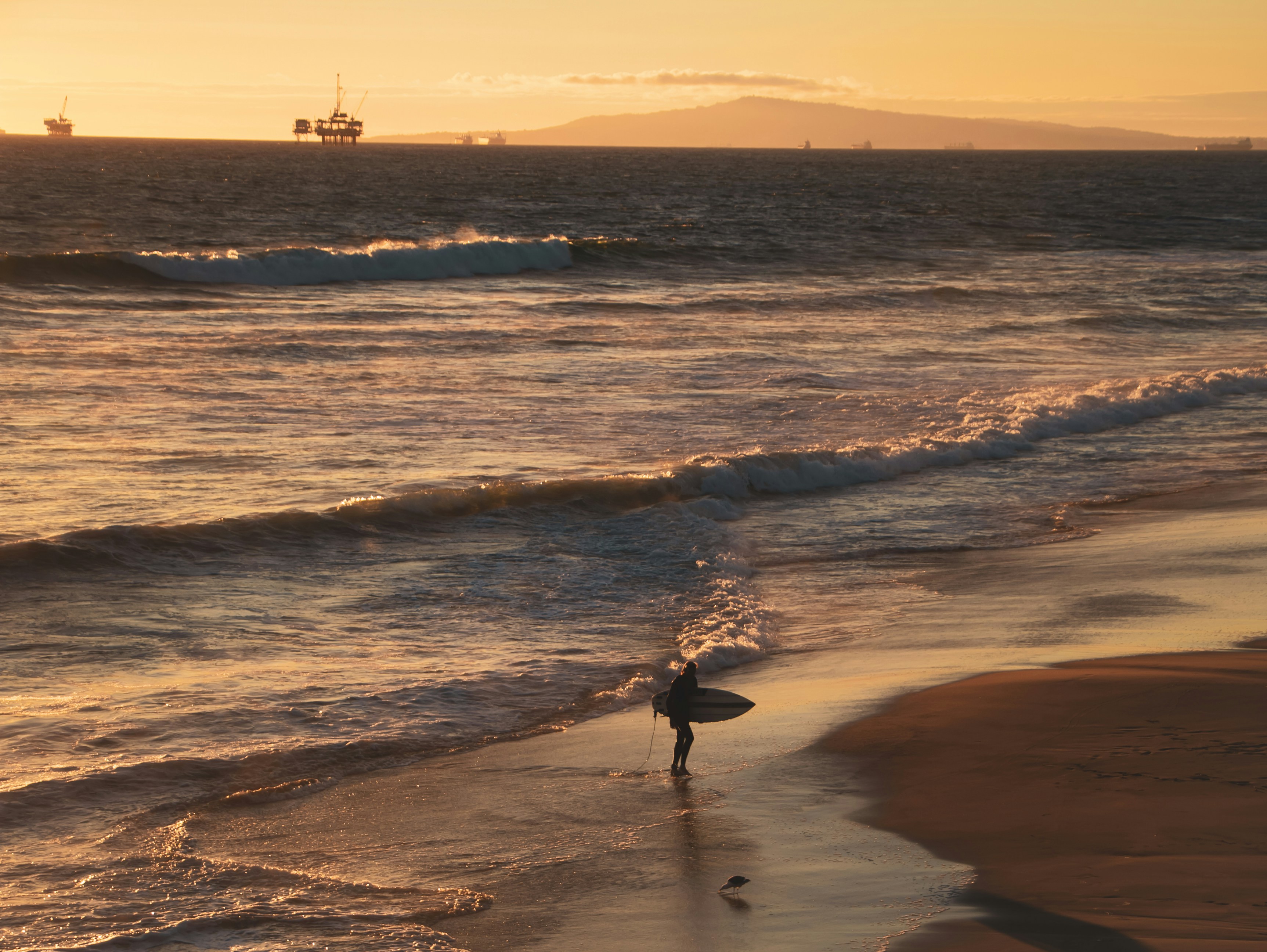 Siatkówka - Finał igrzysk olimpijskich w Paryżu