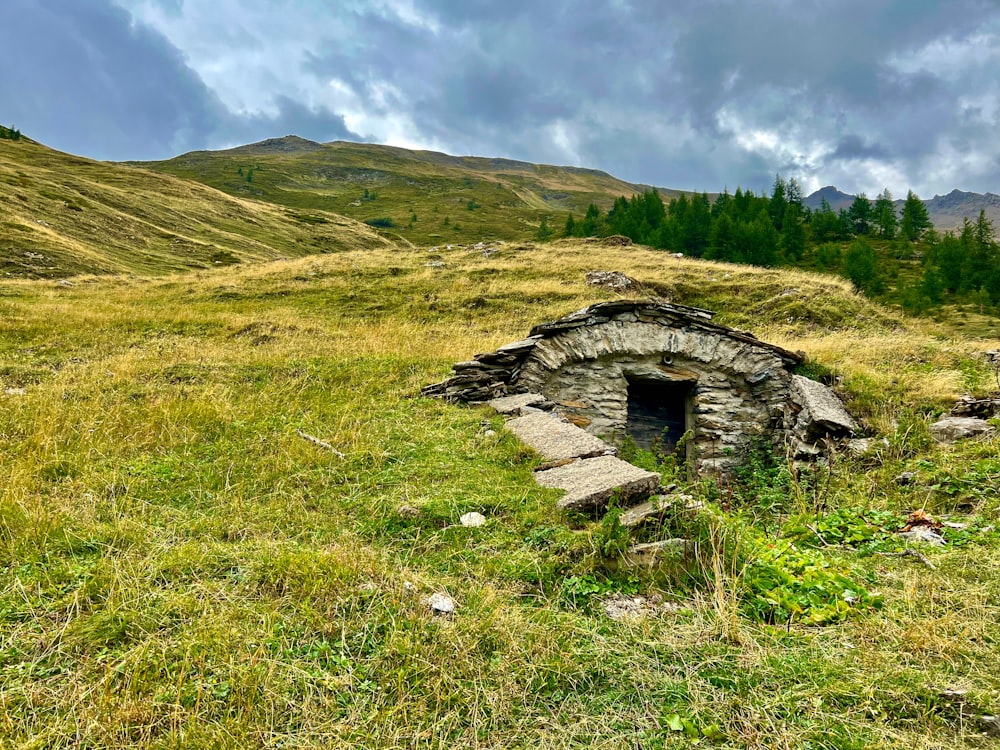 a stone tunnel in a grassy area