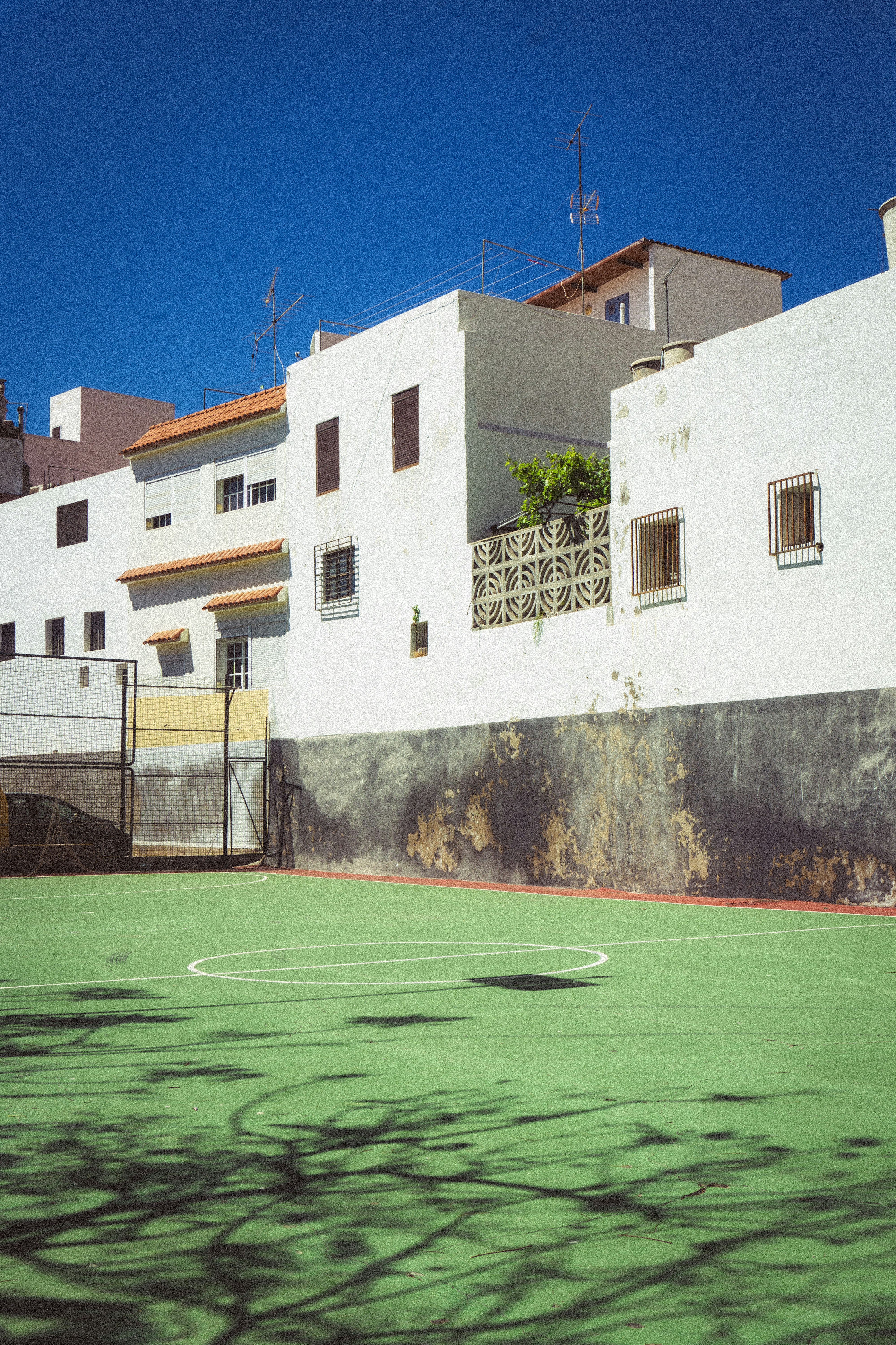 basket nba