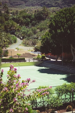 A green sports court is surrounded by lush greenery and flowering bushes in a serene outdoor setting. A pathway leads through the landscape with tall palm trees and mountains in the background.
