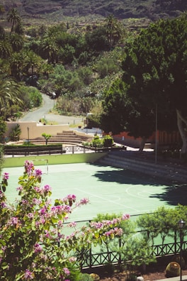 A green sports court is surrounded by lush greenery and flowering bushes in a serene outdoor setting. A pathway leads through the landscape with tall palm trees and mountains in the background.